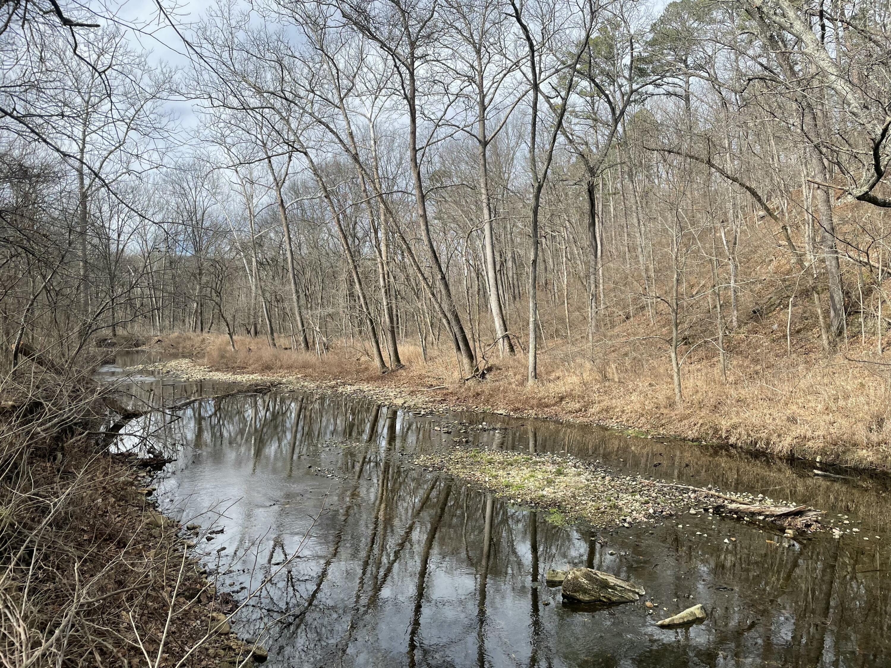 Land for sale – 000 Forest Drive Houston, MO