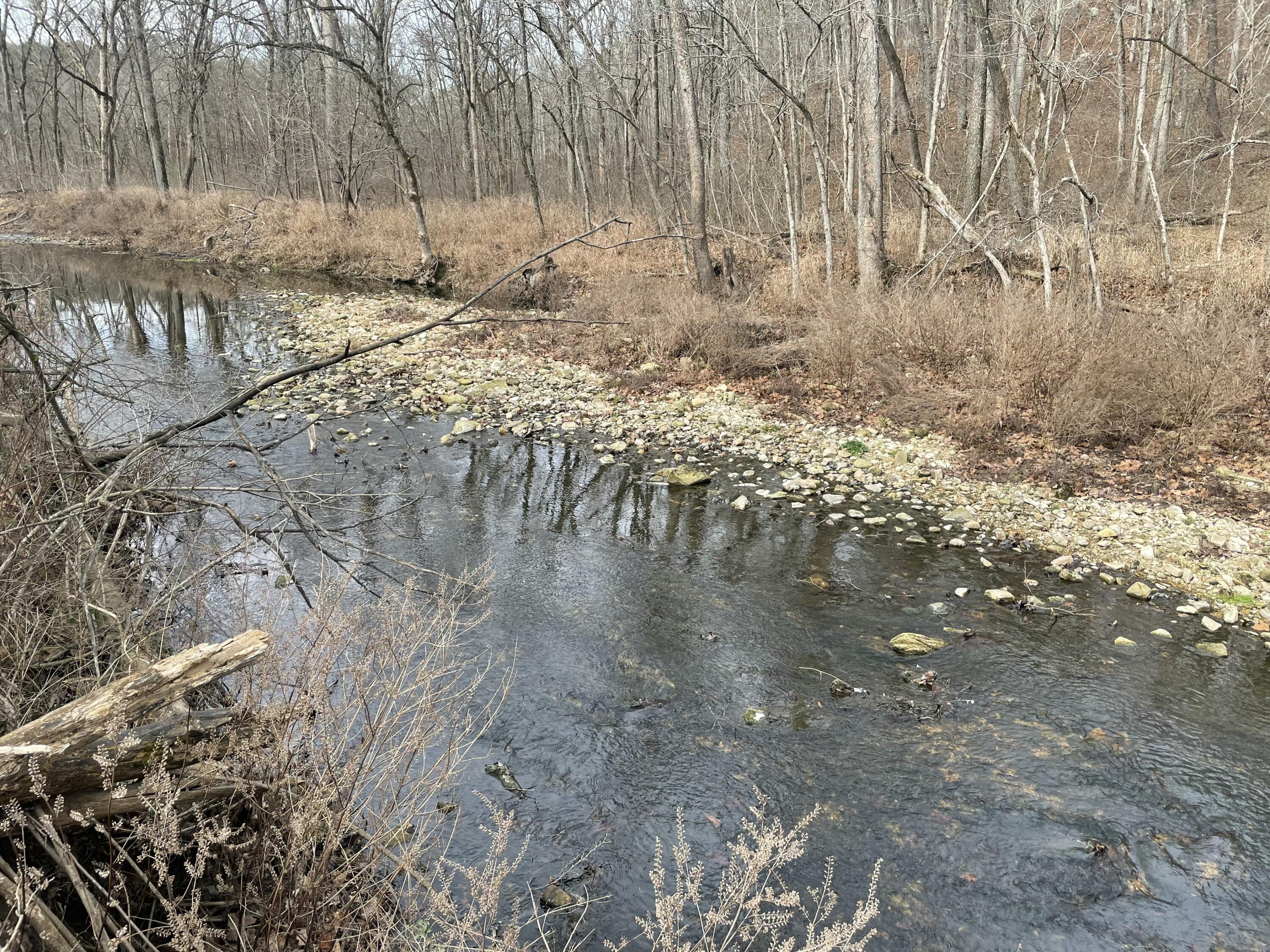 Photo 2 - Land for sale – 000  Forest Drive  Houston, MO
