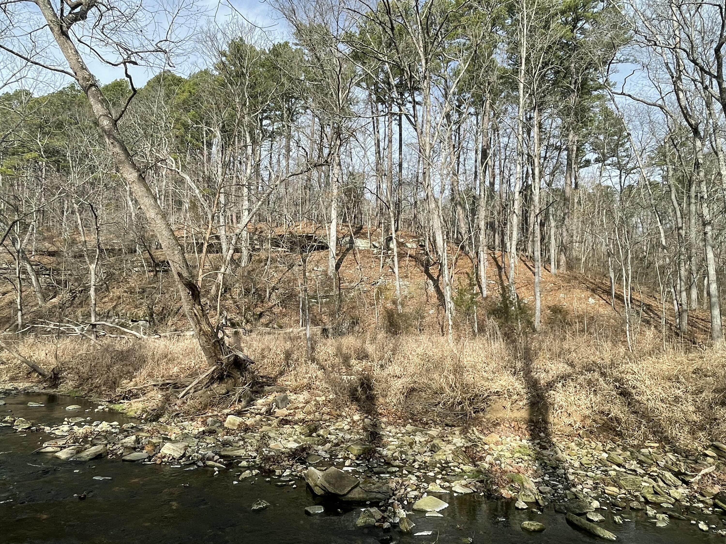 Photo 3 - Land for sale – 000  Forest Drive  Houston, MO
