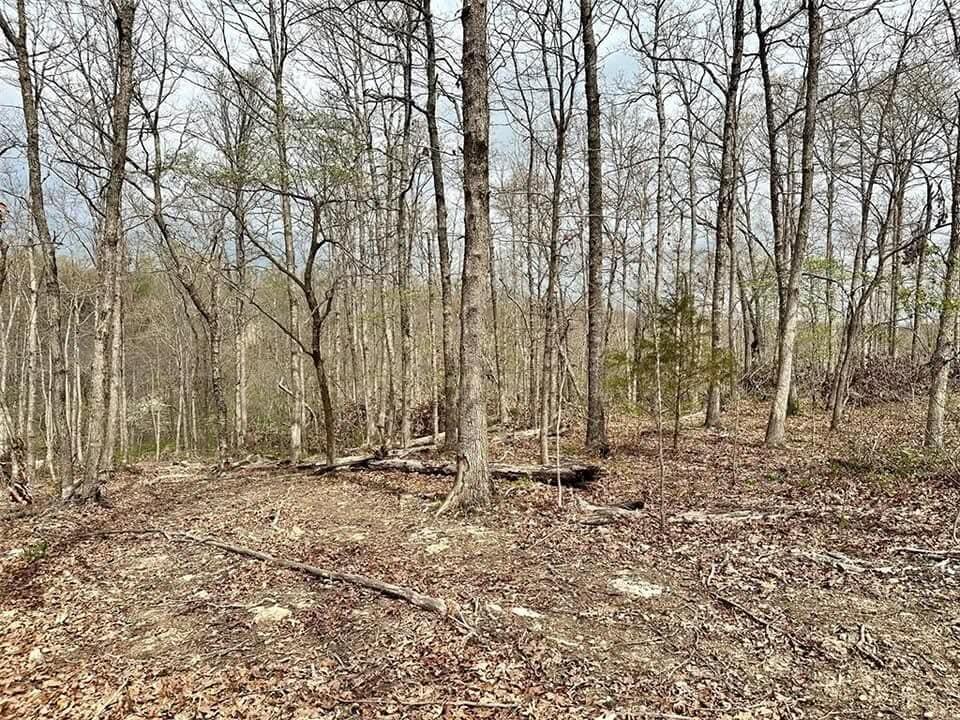 Photo 10 - Land for sale – 000  Forest Drive  Houston, MO