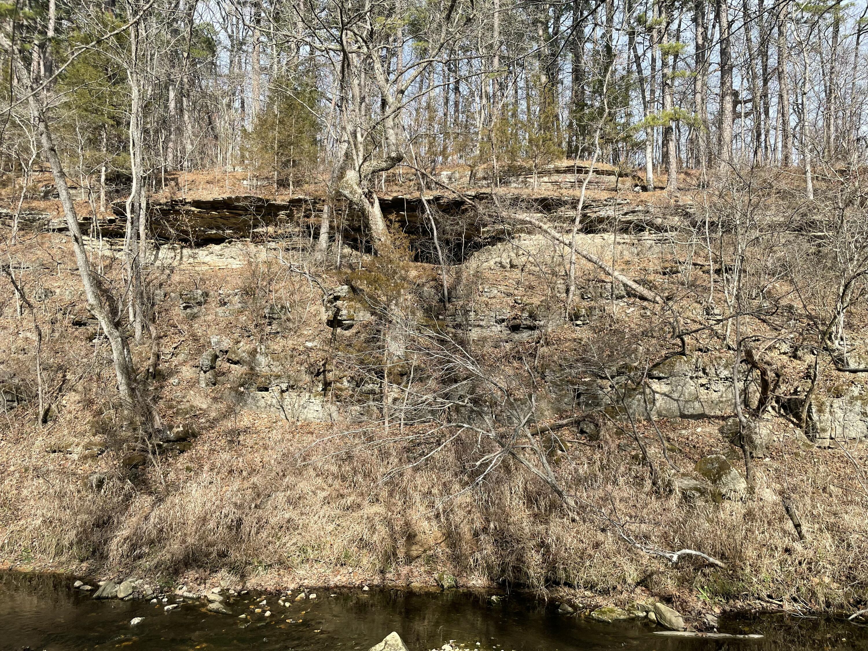 Photo 5 - Land for sale – 000  Forest Drive  Houston, MO