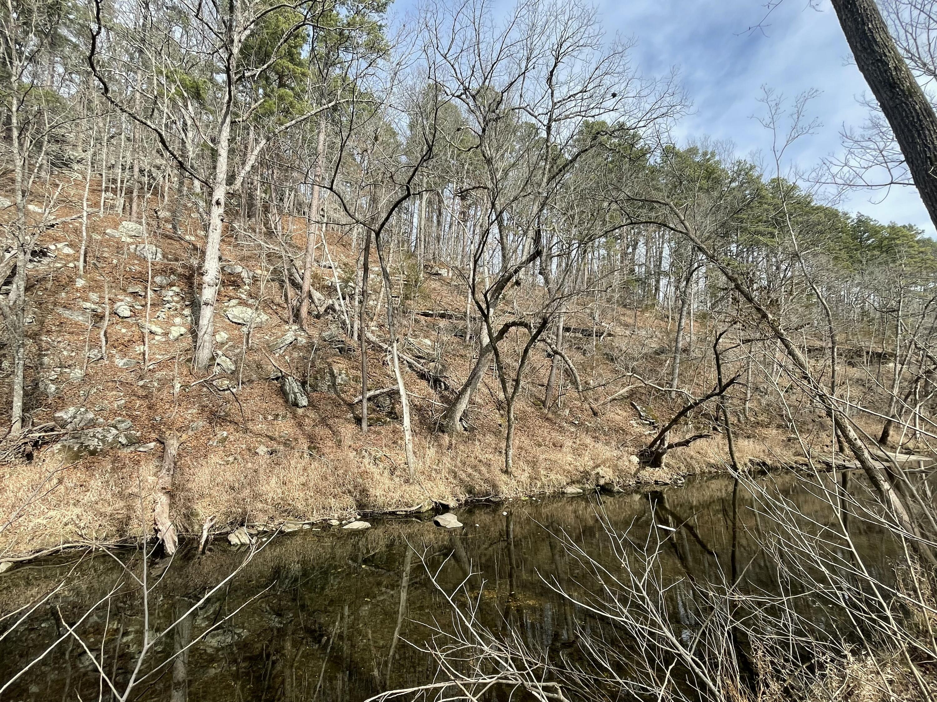 Photo 4 - Land for sale – 000  Forest Drive  Houston, MO