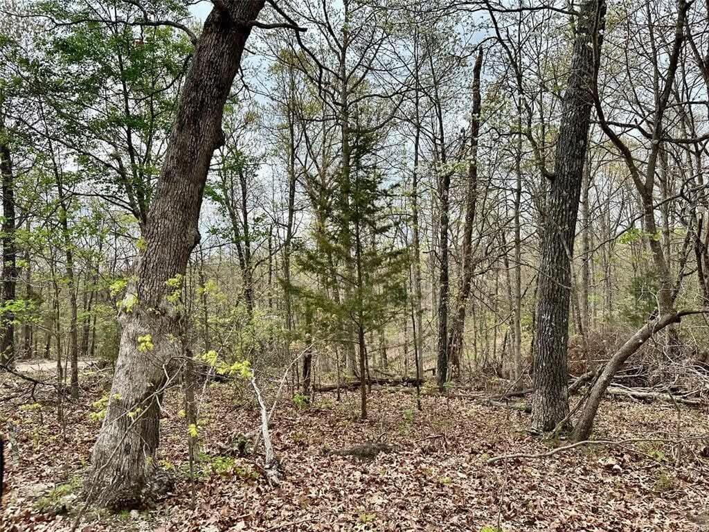 Photo 9 - Land for sale – 000  Forest Drive  Houston, MO