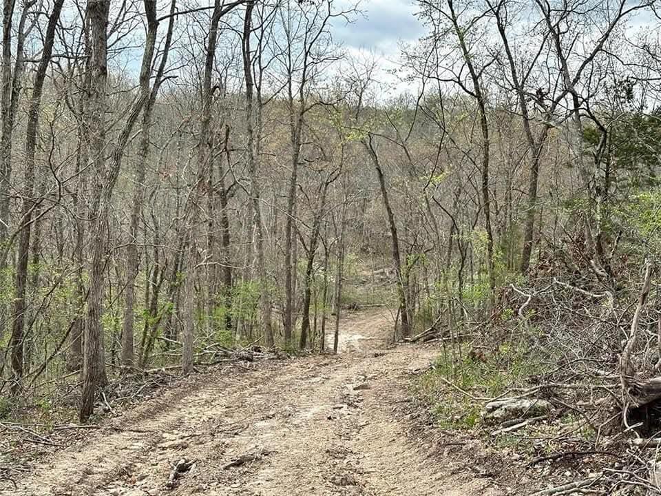Photo 8 - Land for sale – 000  Forest Drive  Houston, MO