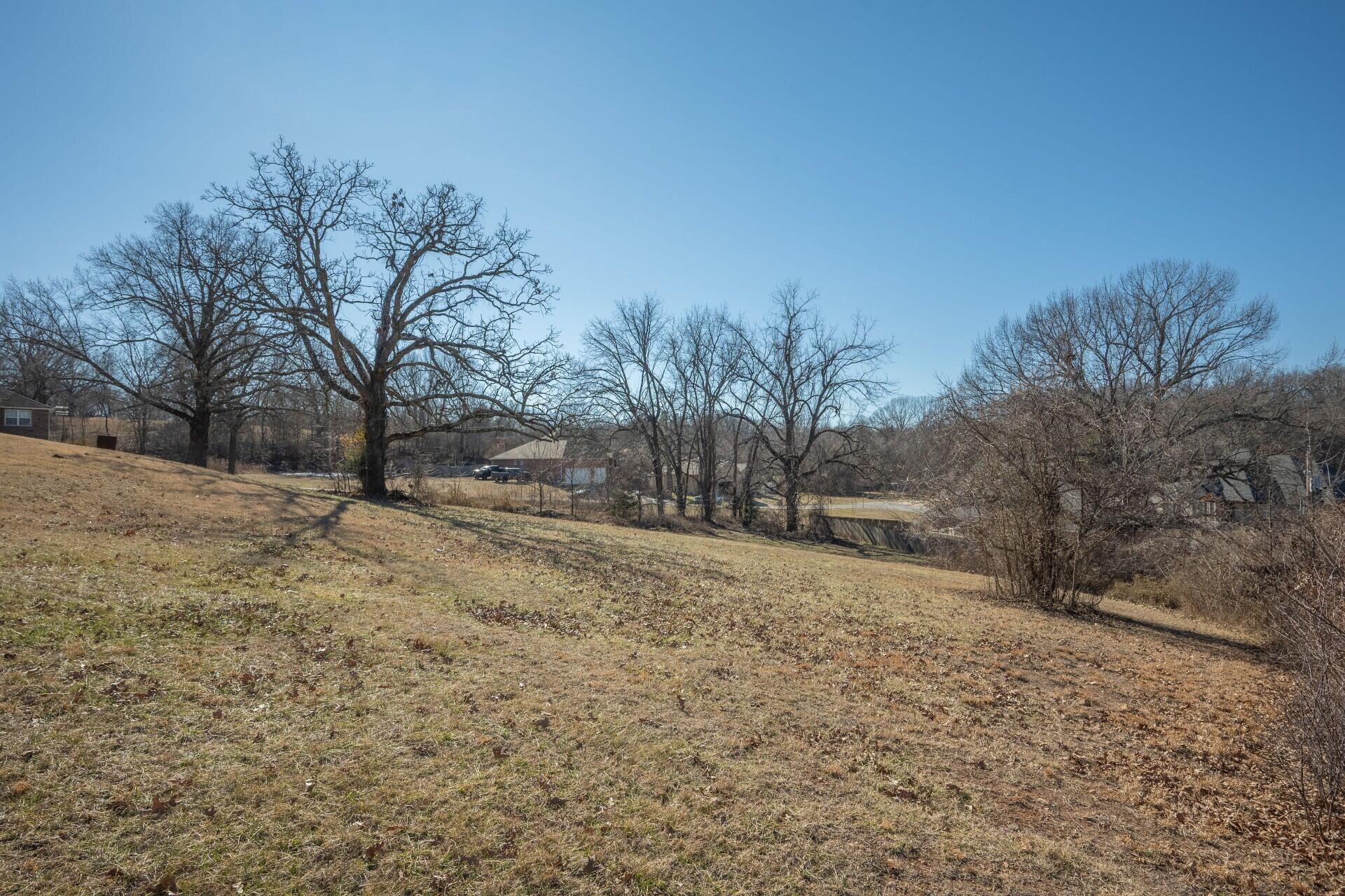 Photo 8 - Land for sale – Lots 13 14  Sherry Drive   Neosho, MO