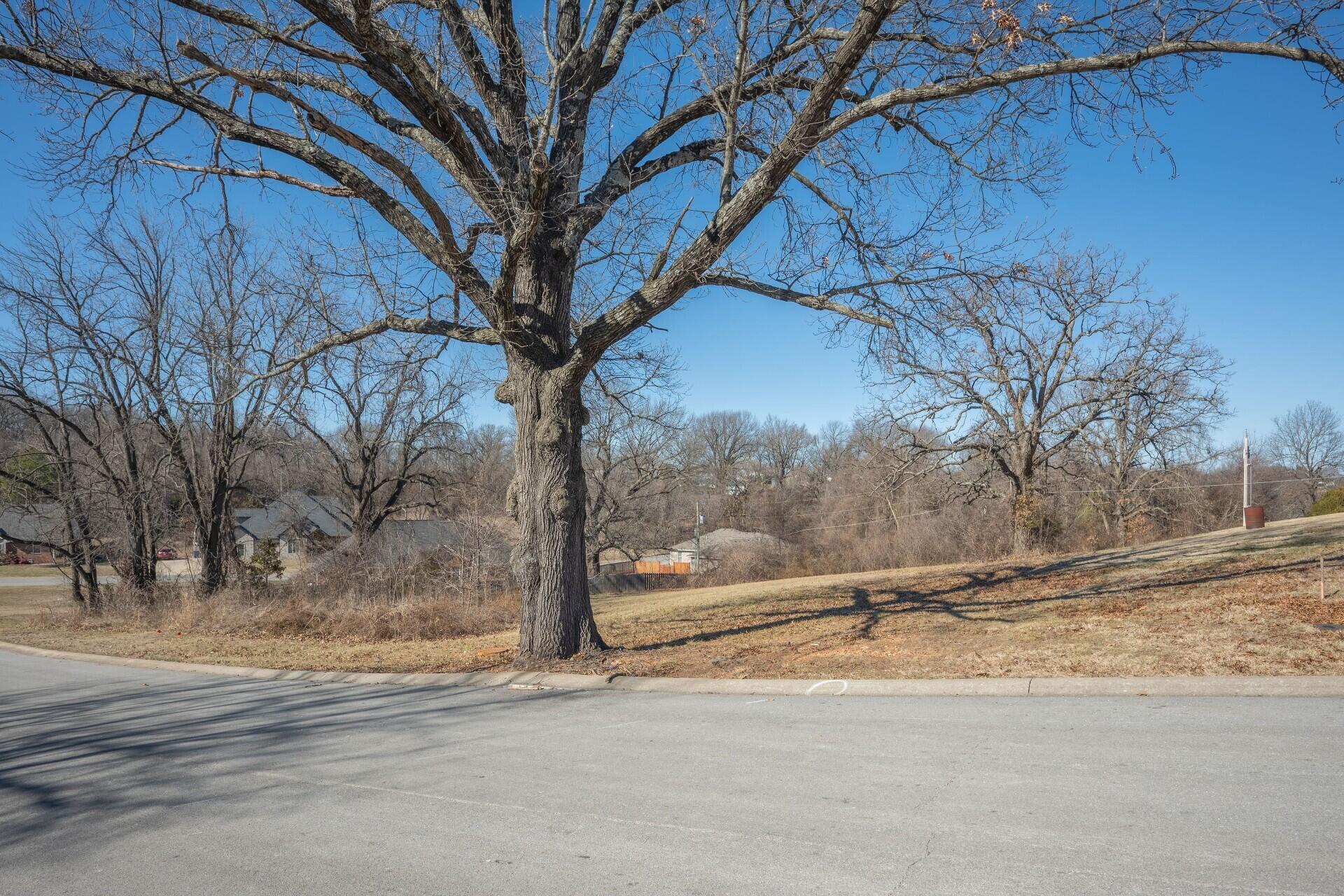 Photo 9 - Land for sale – Lots 13 14  Sherry Drive   Neosho, MO