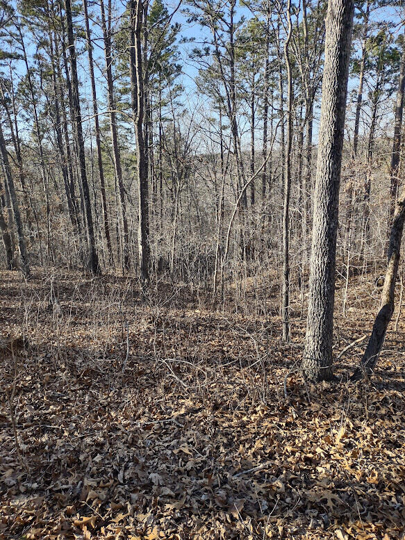 Photo 5 - Land for sale – 000  Moonshine Pass   Salem, MO