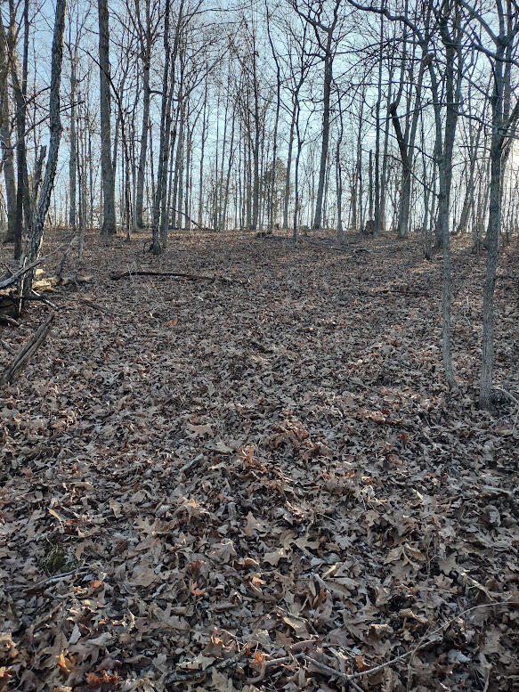 Photo 4 - Land for sale – 000  Moonshine Pass   Salem, MO