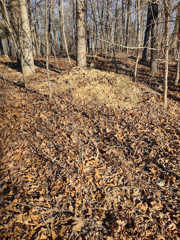 Photo 2 - Land for sale – 000  Moonshine Pass   Salem, MO