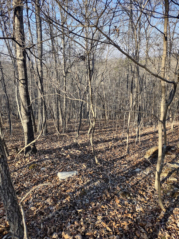Photo 11 - Land for sale – 000  Moonshine Pass   Salem, MO