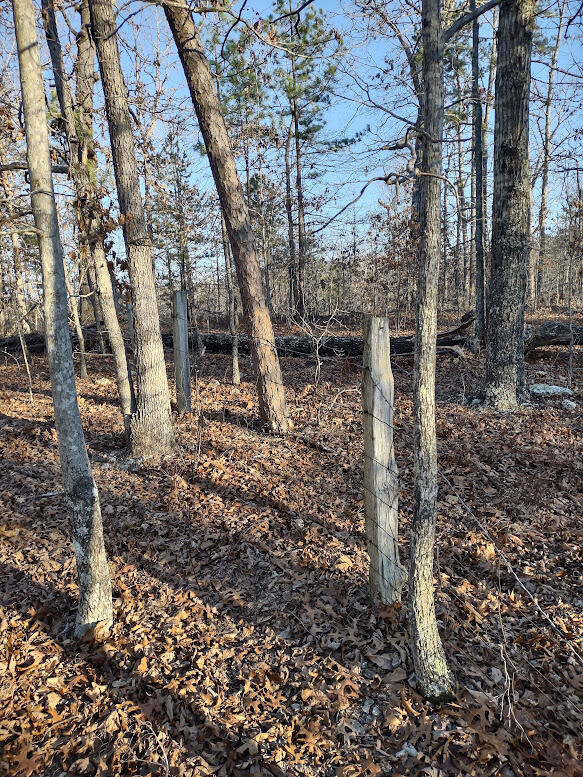 Photo 8 - Land for sale – 000  Moonshine Pass   Salem, MO