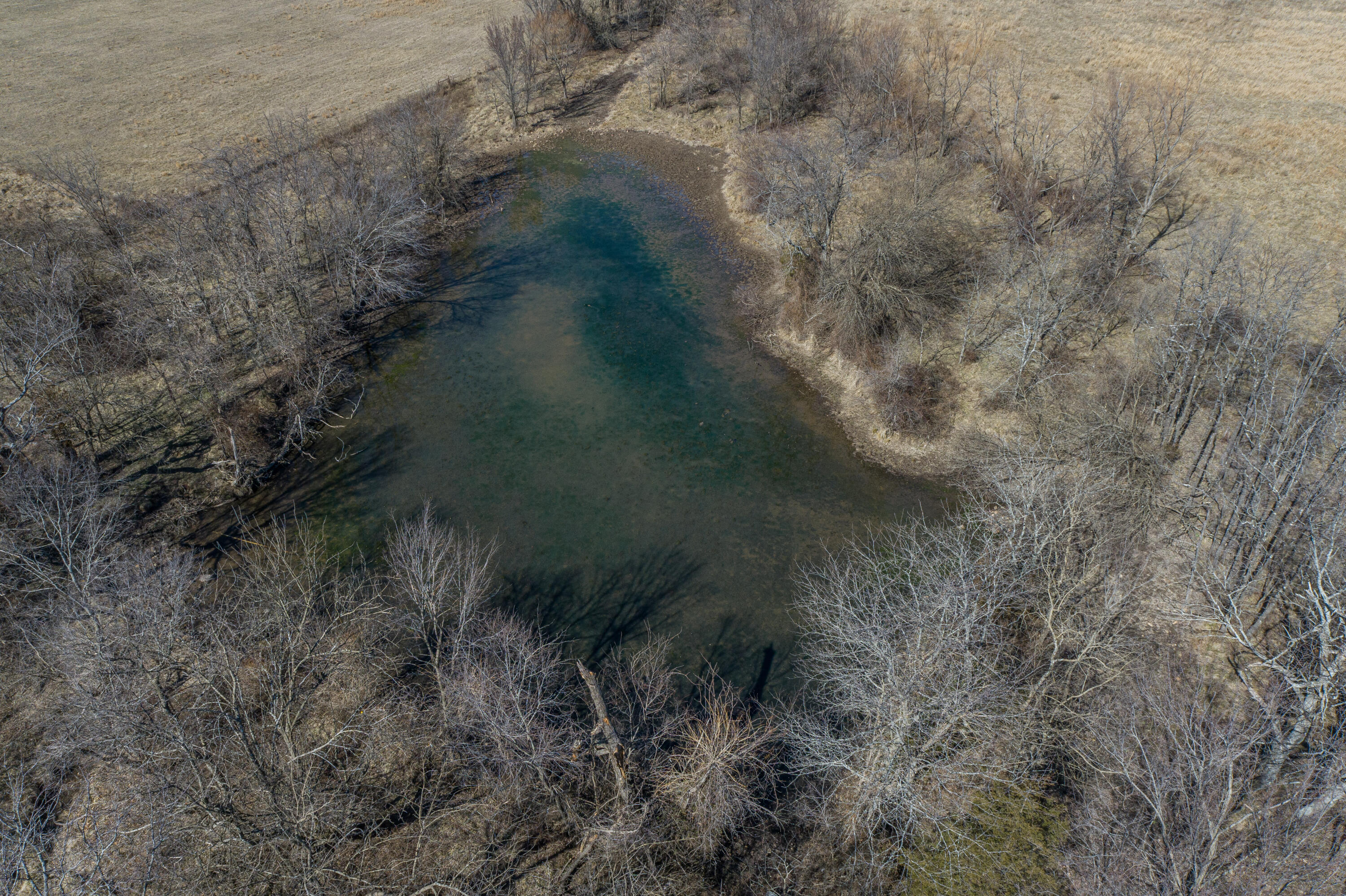 Photo 16 - Land for sale – 000  Hwy 13   Springfield, MO