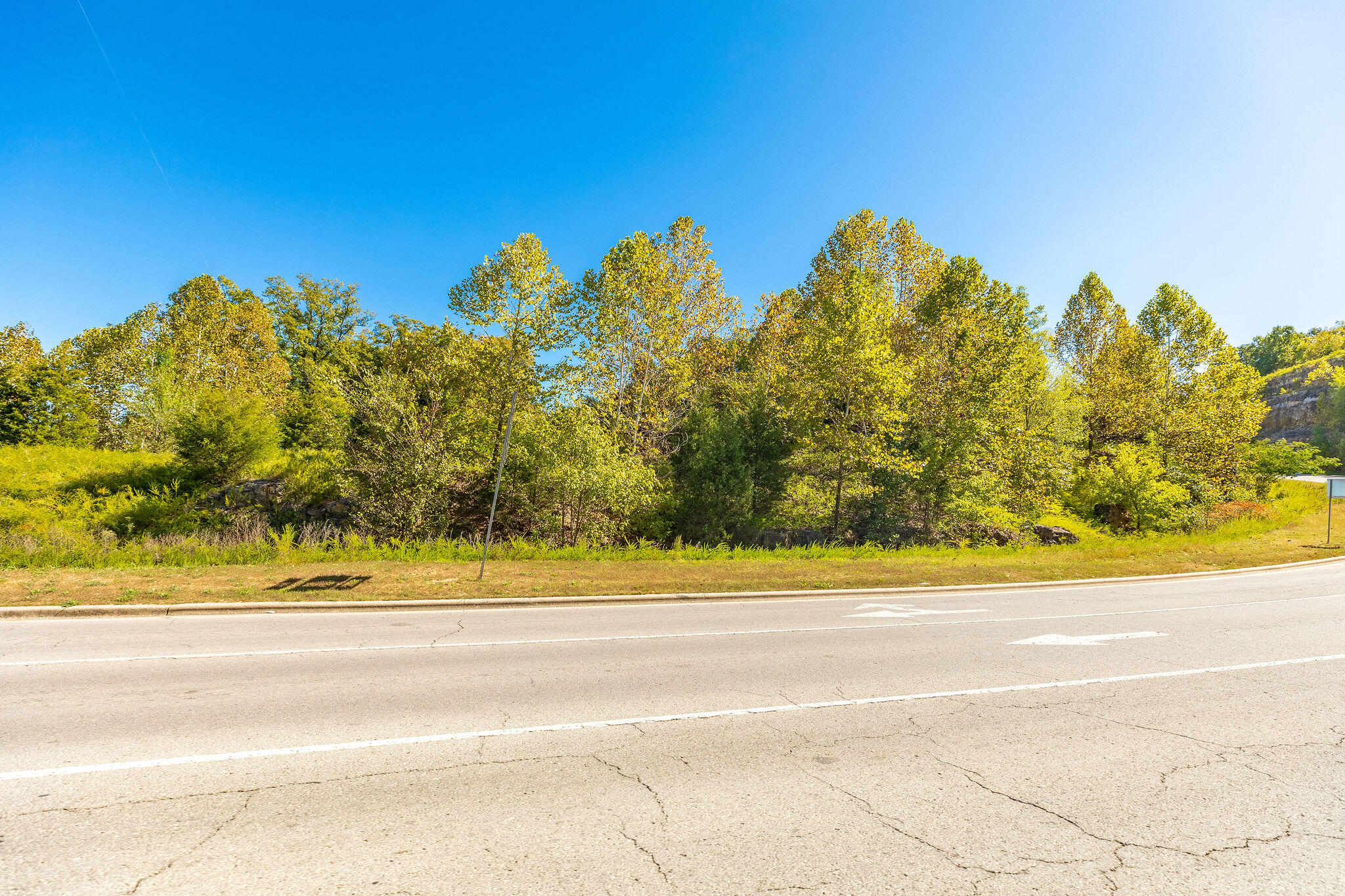 Photo 12 - Land for sale – Tbd  Roark  Valley Road  Branson, MO