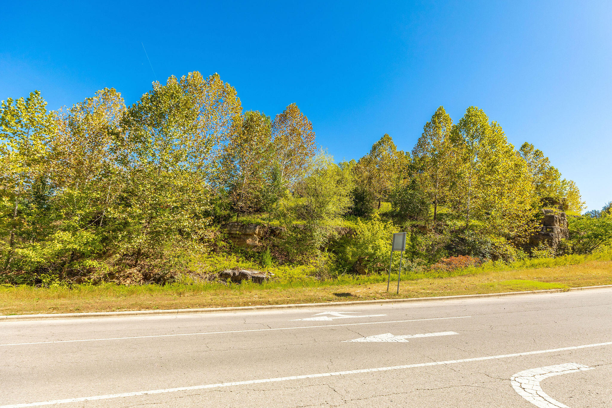 Photo 7 - Land for sale – Tbd  Roark  Valley Road  Branson, MO