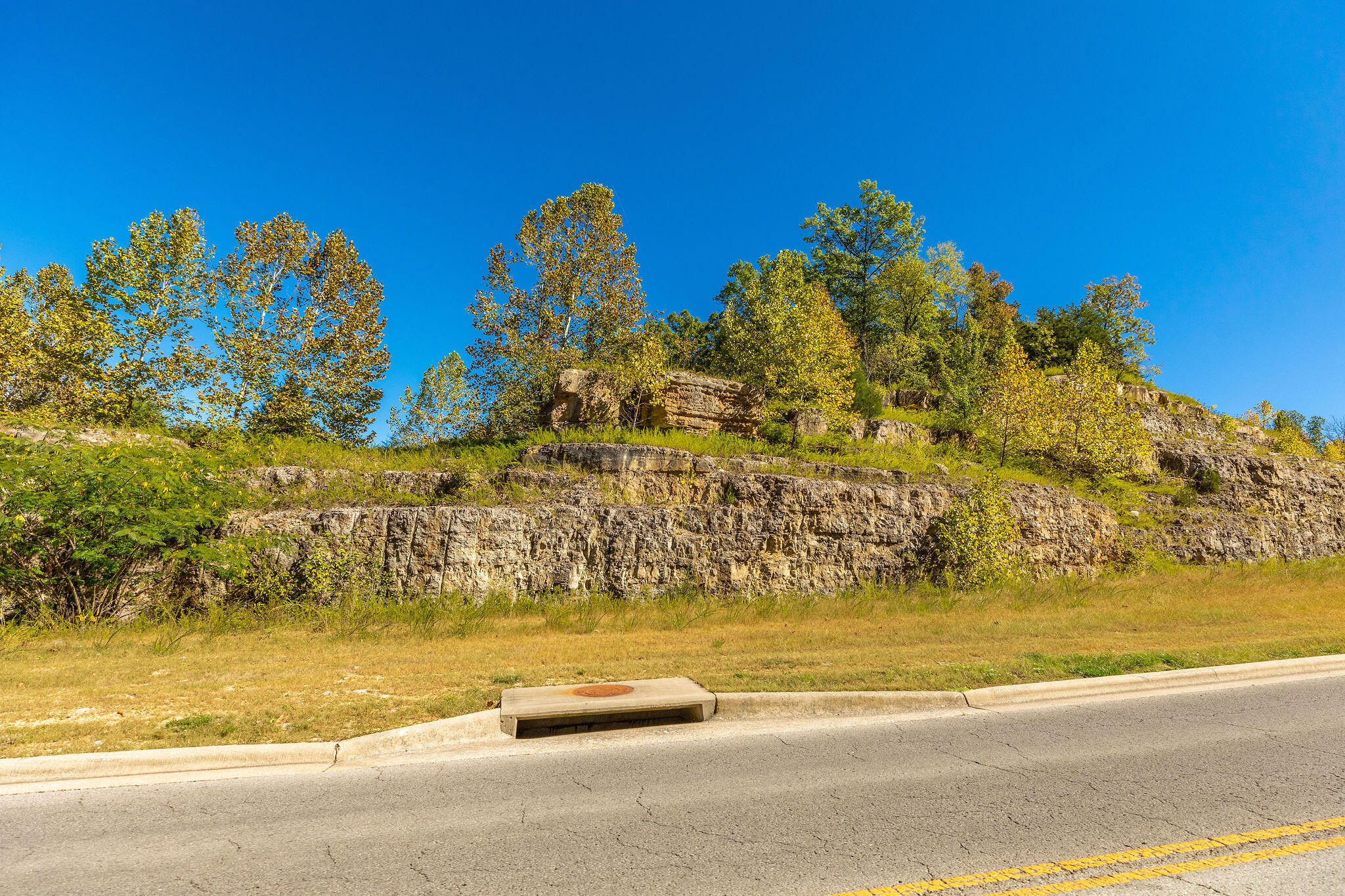 Photo 9 - Land for sale – Tbd  Roark  Valley Road  Branson, MO
