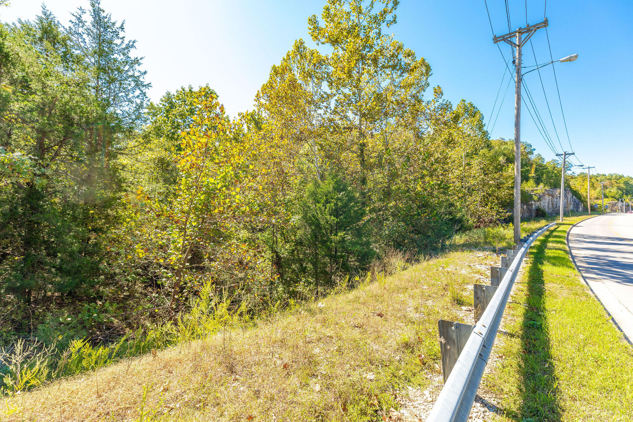 Photo 11 - Land for sale – Tbd  Roark  Valley Road  Branson, MO