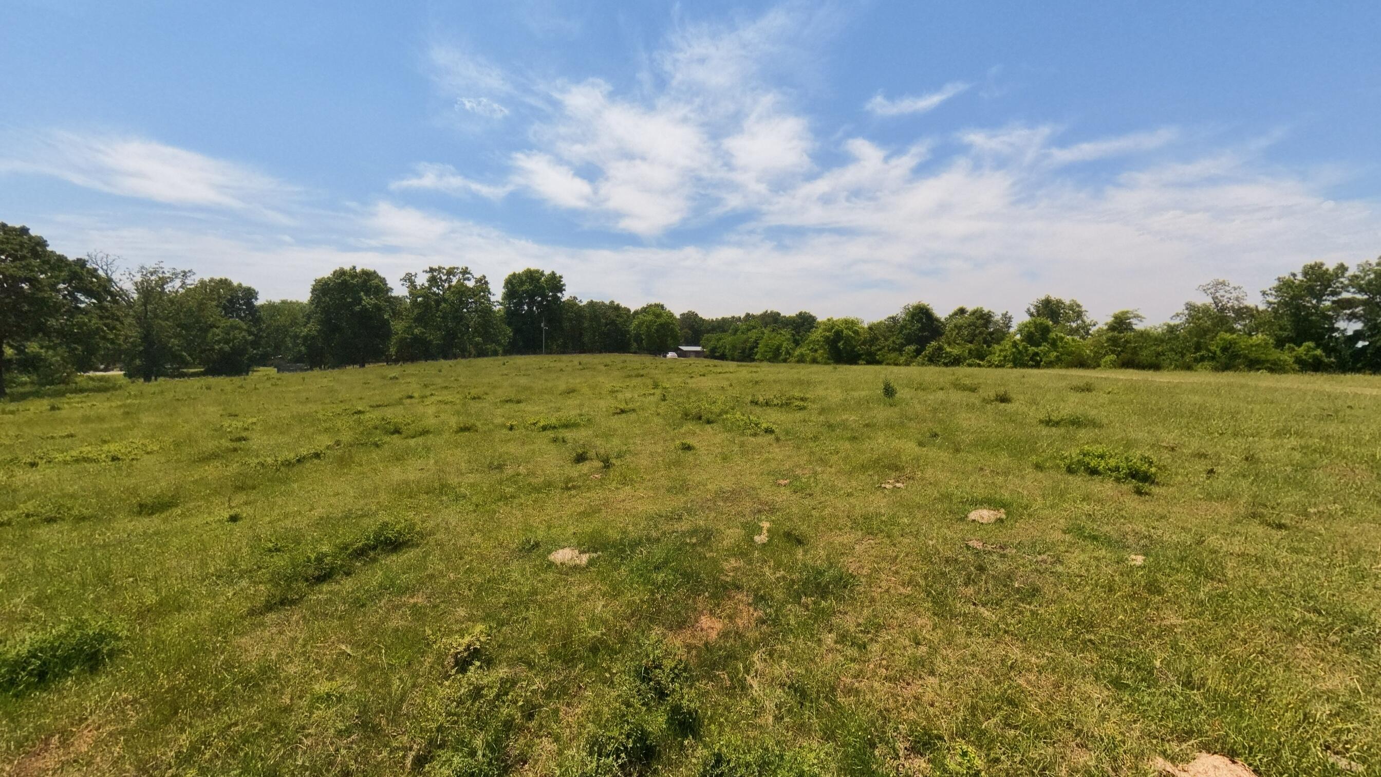 Photo 8 - Land for sale – 000  County Road 113   Alton, MO