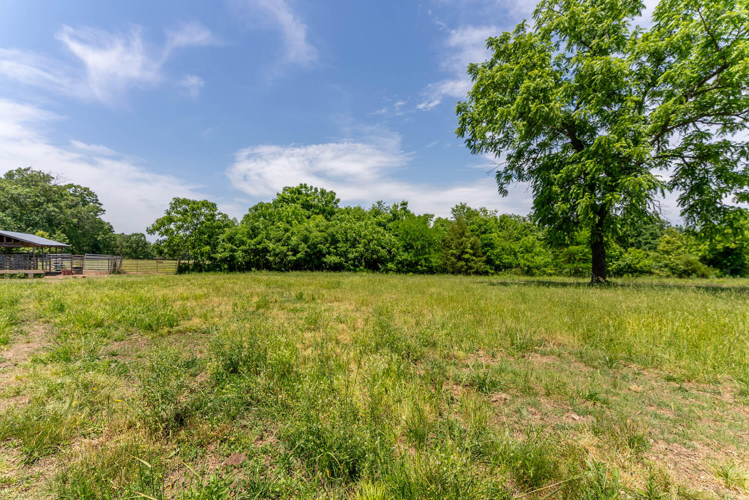 Photo 58 - Land for sale – 000  County Road 113   Alton, MO