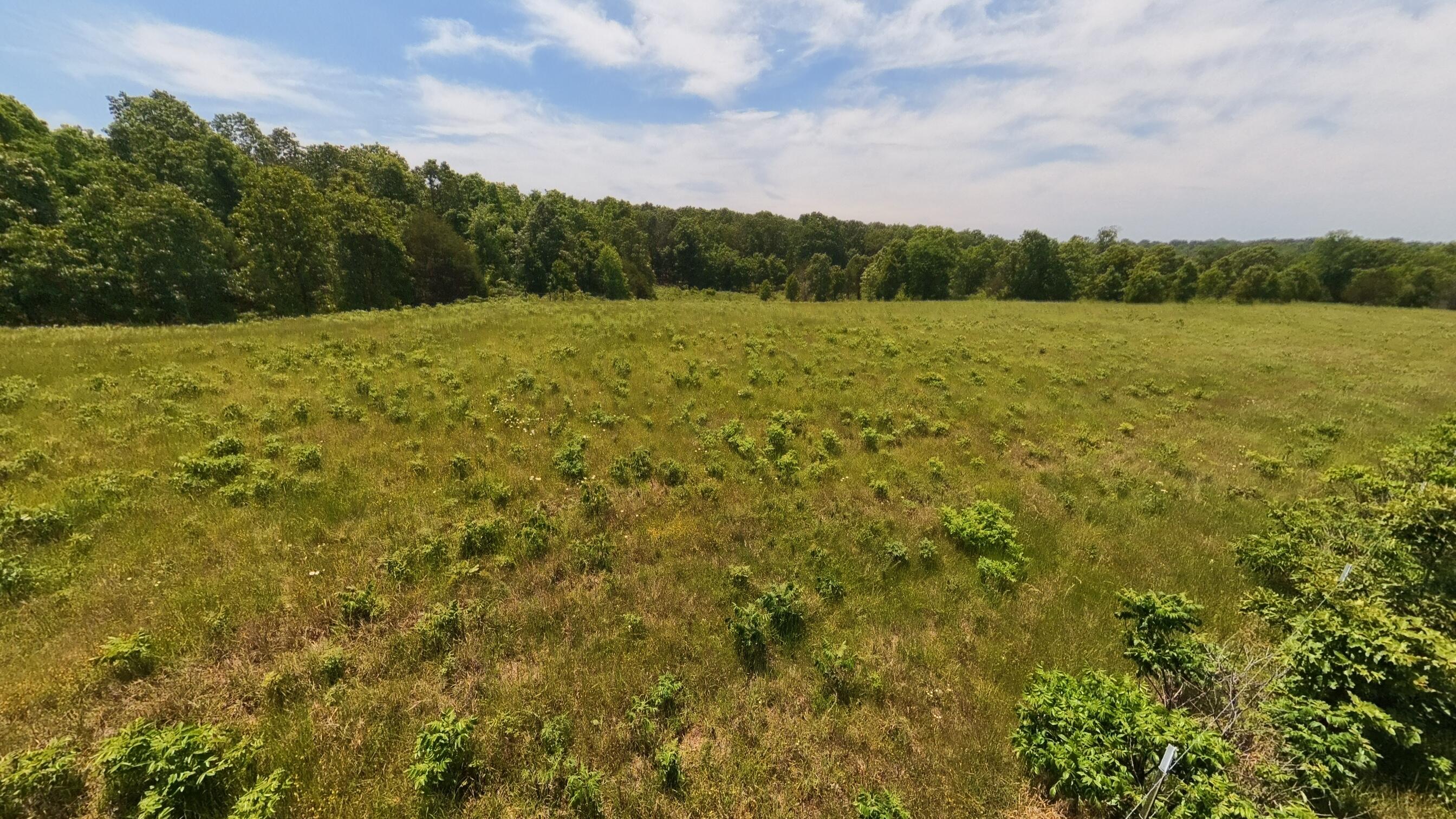Photo 41 - Land for sale – 000  County Road 113   Alton, MO