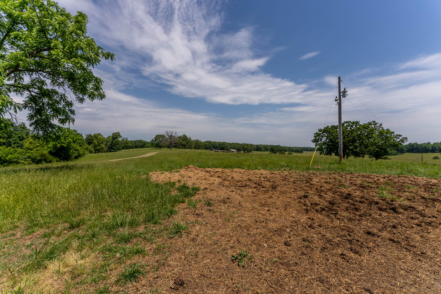Photo 57 - Land for sale – 000  County Road 113   Alton, MO