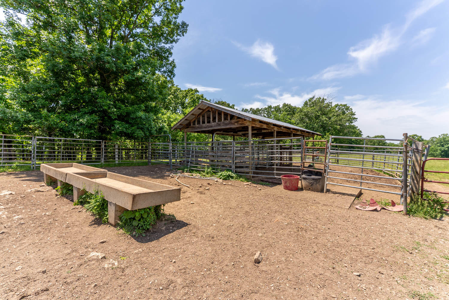 Photo 53 - Land for sale – 000  County Road 113   Alton, MO