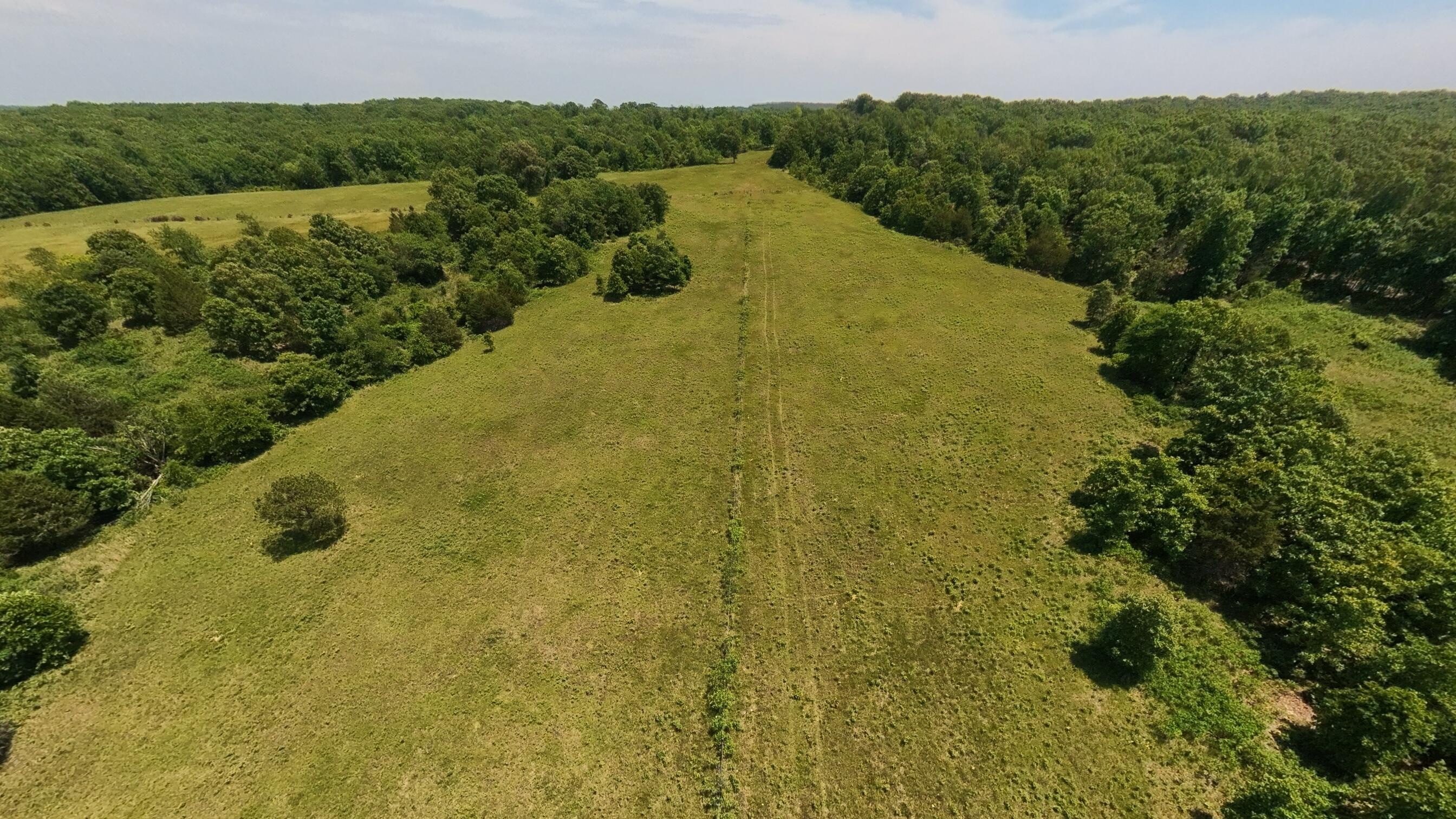 Photo 43 - Land for sale – 000  County Road 113   Alton, MO