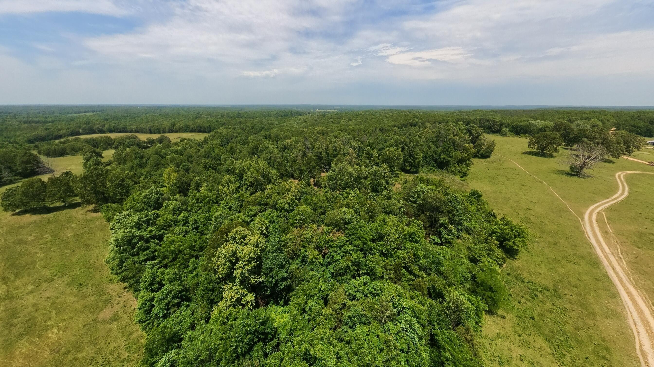Photo 15 - Land for sale – 000  County Road 113   Alton, MO