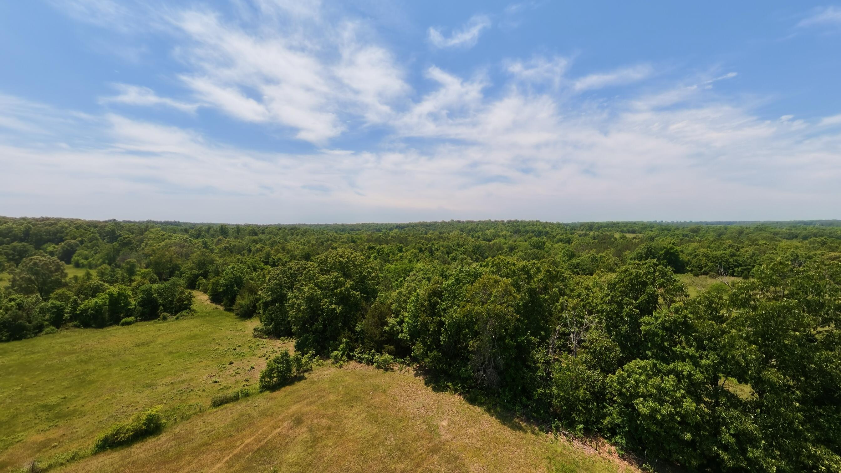 Photo 51 - Land for sale – 000  County Road 113   Alton, MO
