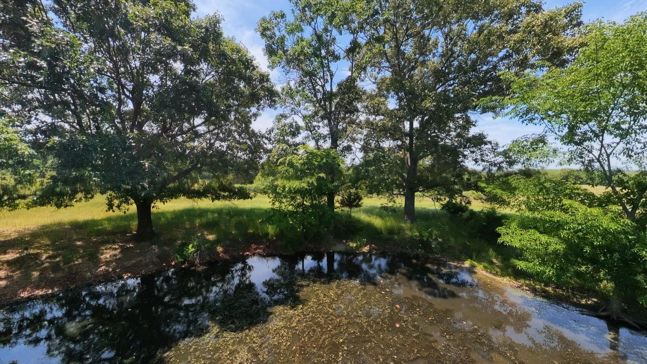 Photo 22 - Land for sale – 000  County Road 113   Alton, MO