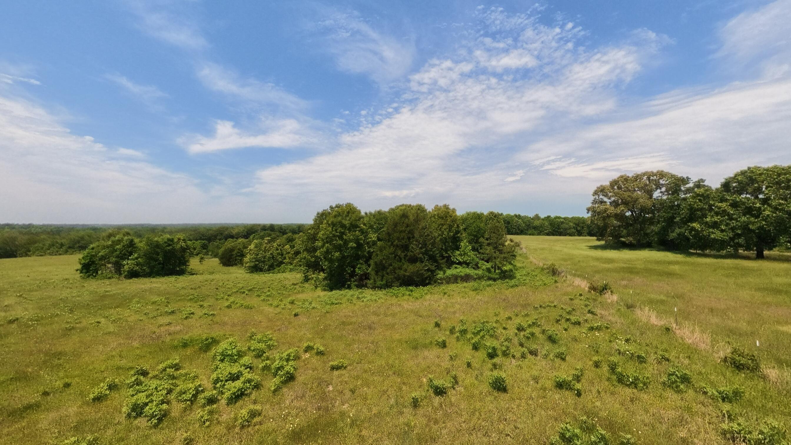 Photo 37 - Land for sale – 000  County Road 113   Alton, MO