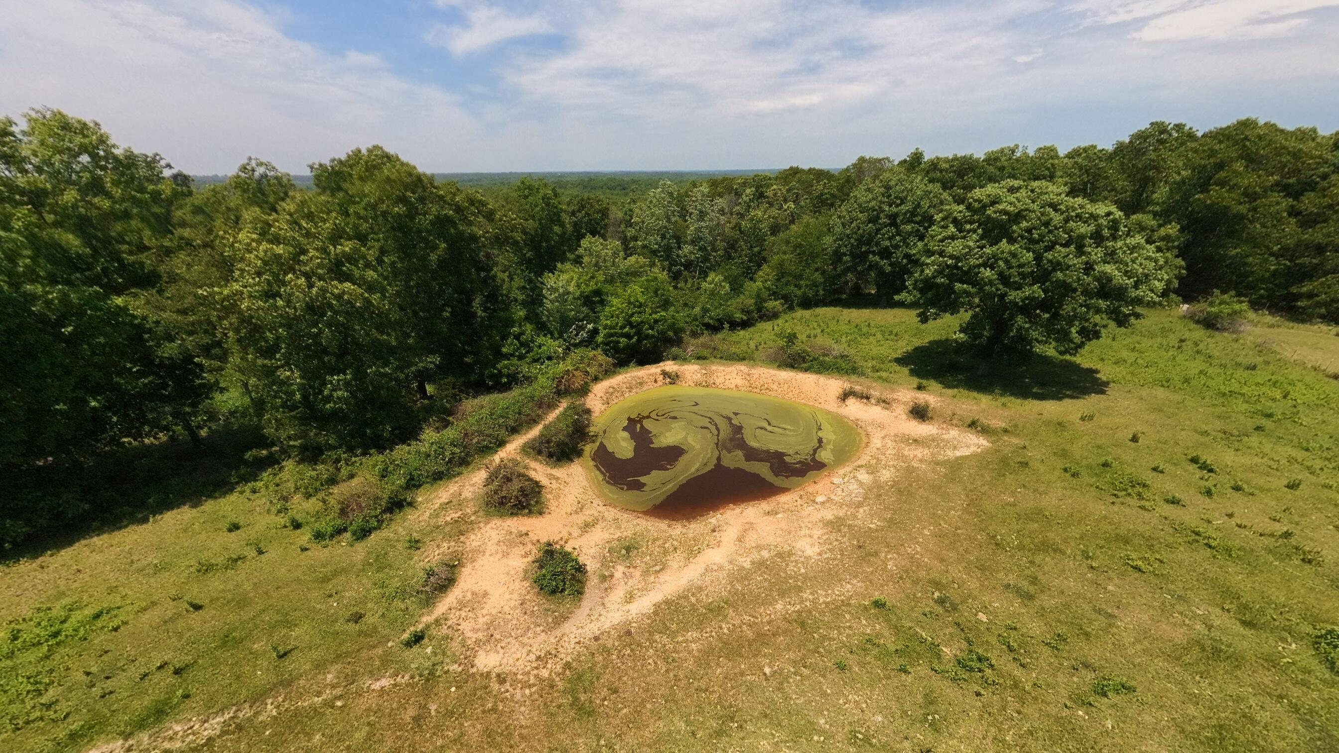 Photo 4 - Land for sale – 000  County Road 113   Alton, MO