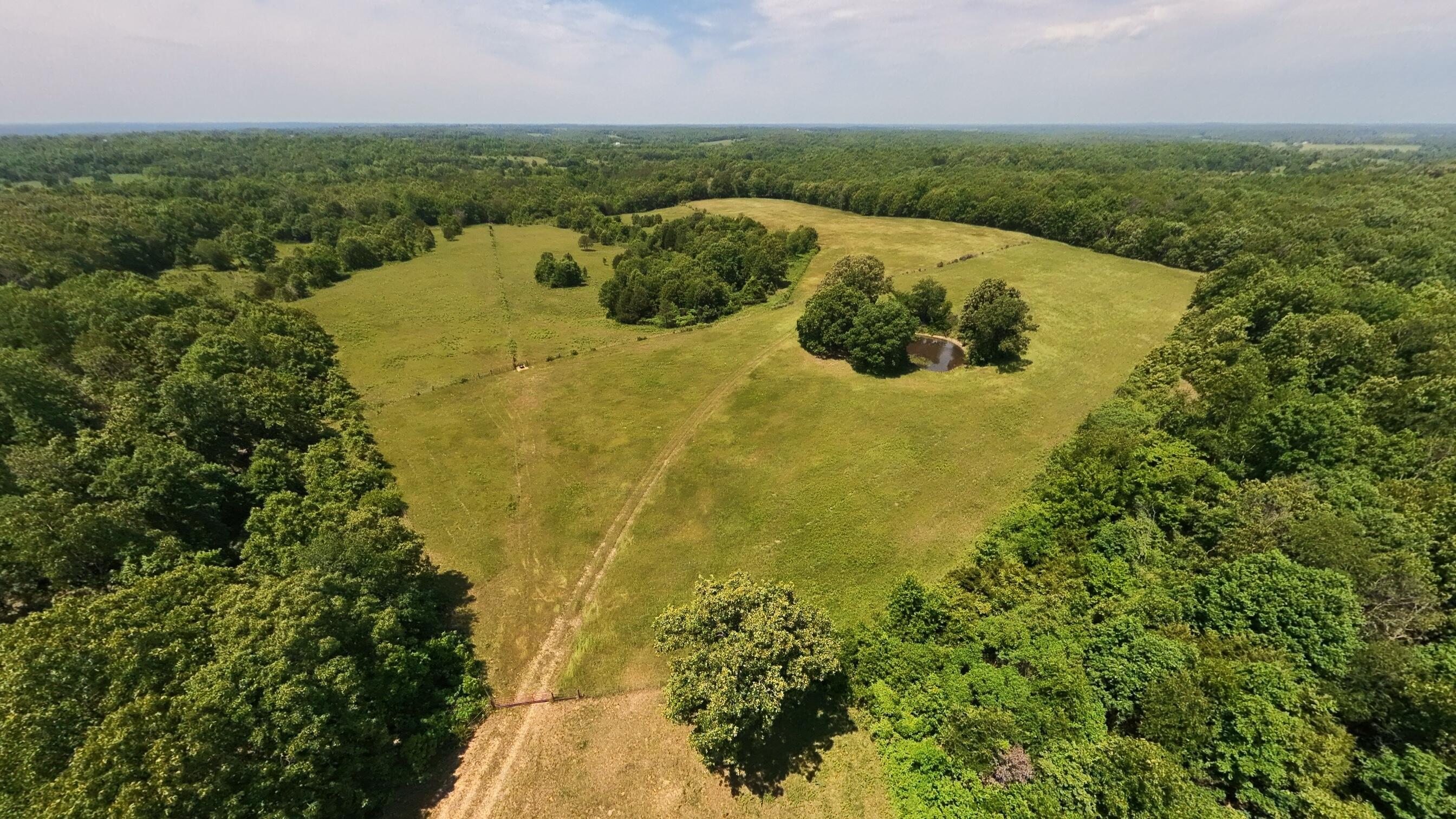 Photo 19 - Land for sale – 000  County Road 113   Alton, MO