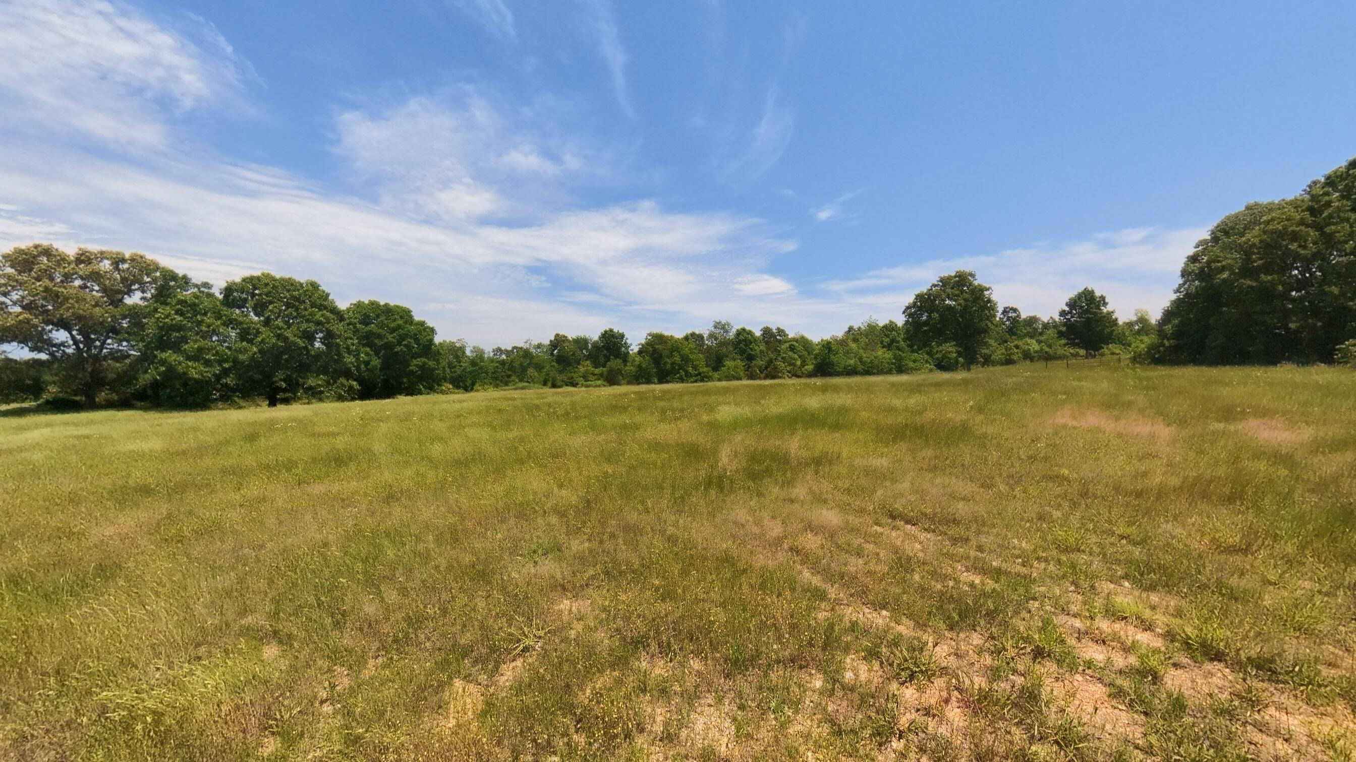 Photo 34 - Land for sale – 000  County Road 113   Alton, MO