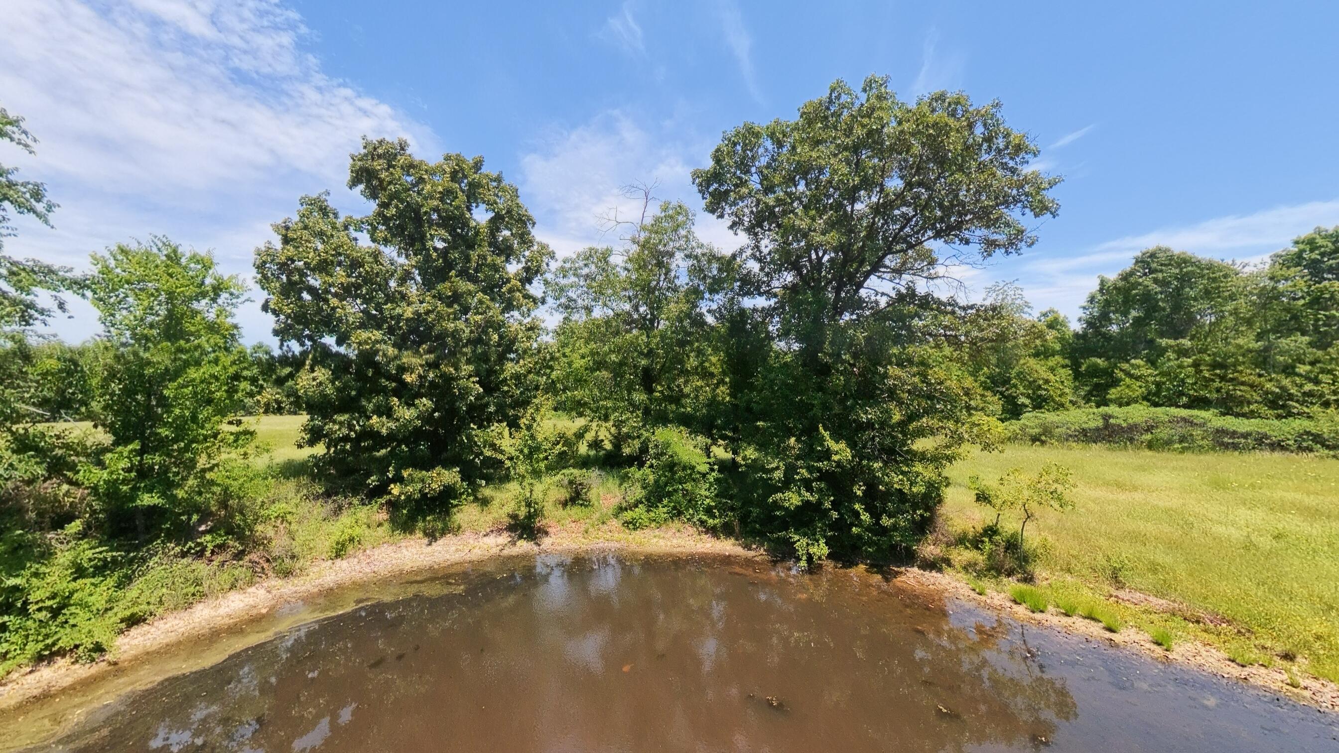 Photo 23 - Land for sale – 000  County Road 113   Alton, MO