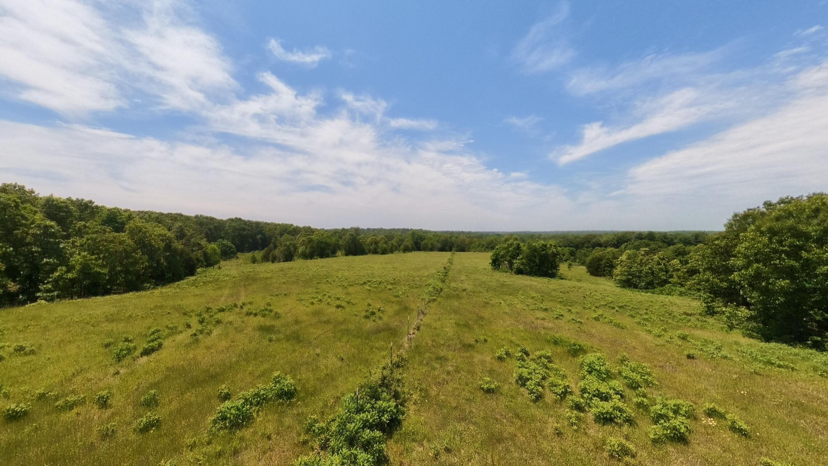 Photo 36 - Land for sale – 000  County Road 113   Alton, MO