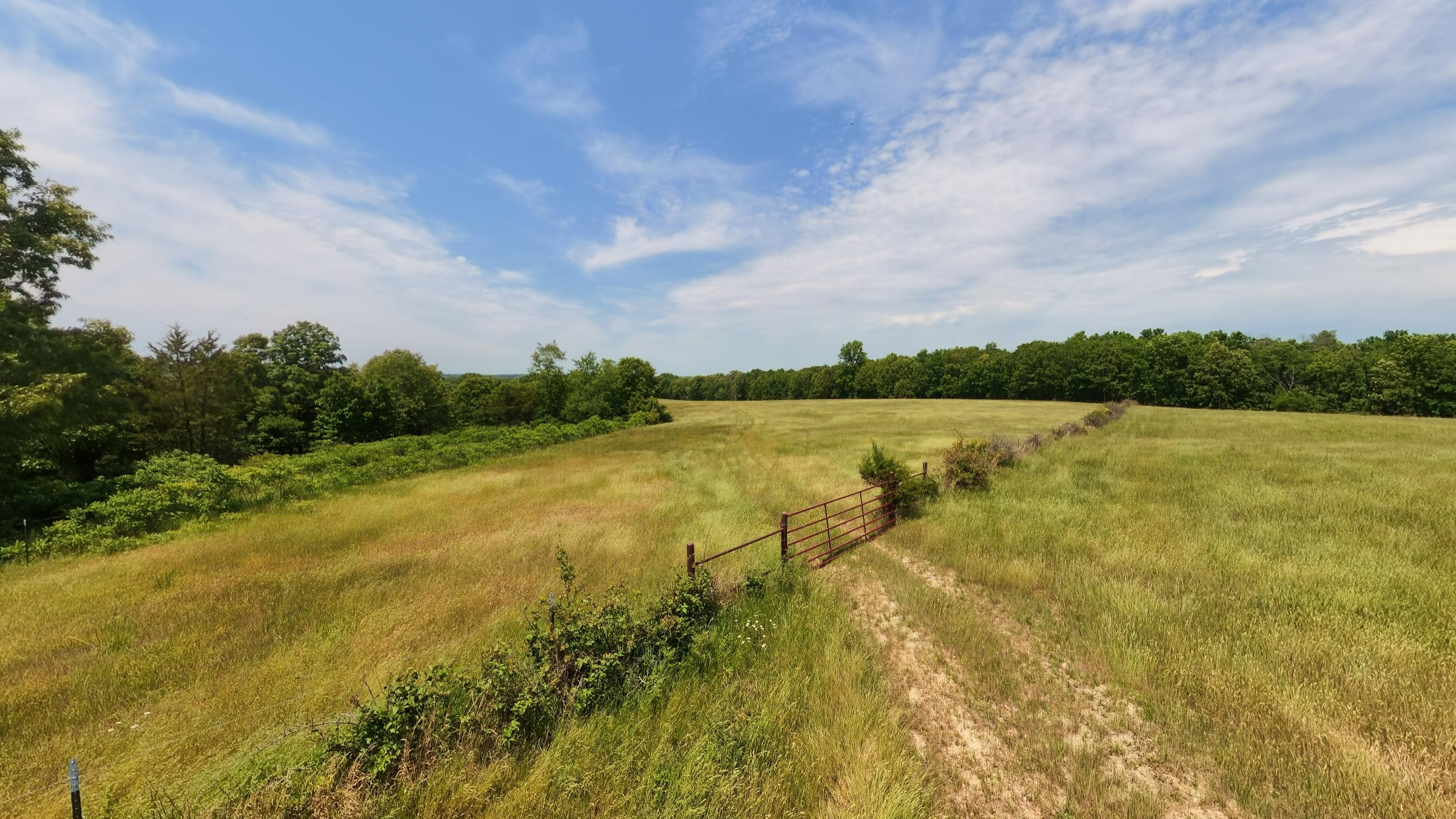 Photo 30 - Land for sale – 000  County Road 113   Alton, MO