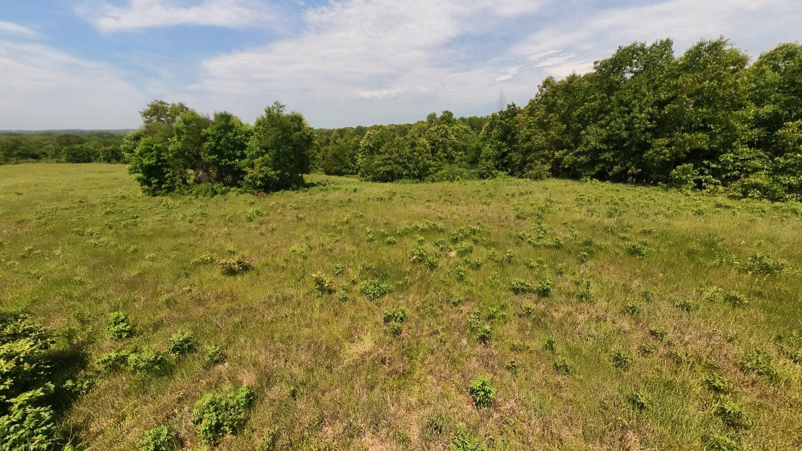 Photo 40 - Land for sale – 000  County Road 113   Alton, MO
