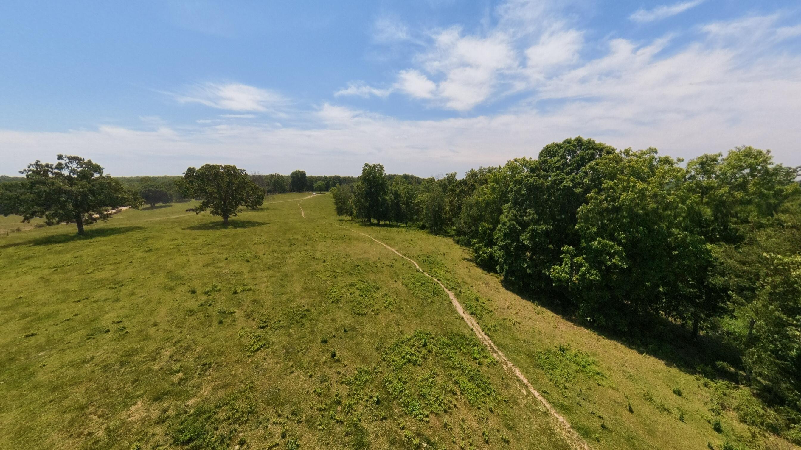Photo 6 - Land for sale – 000  County Road 113   Alton, MO