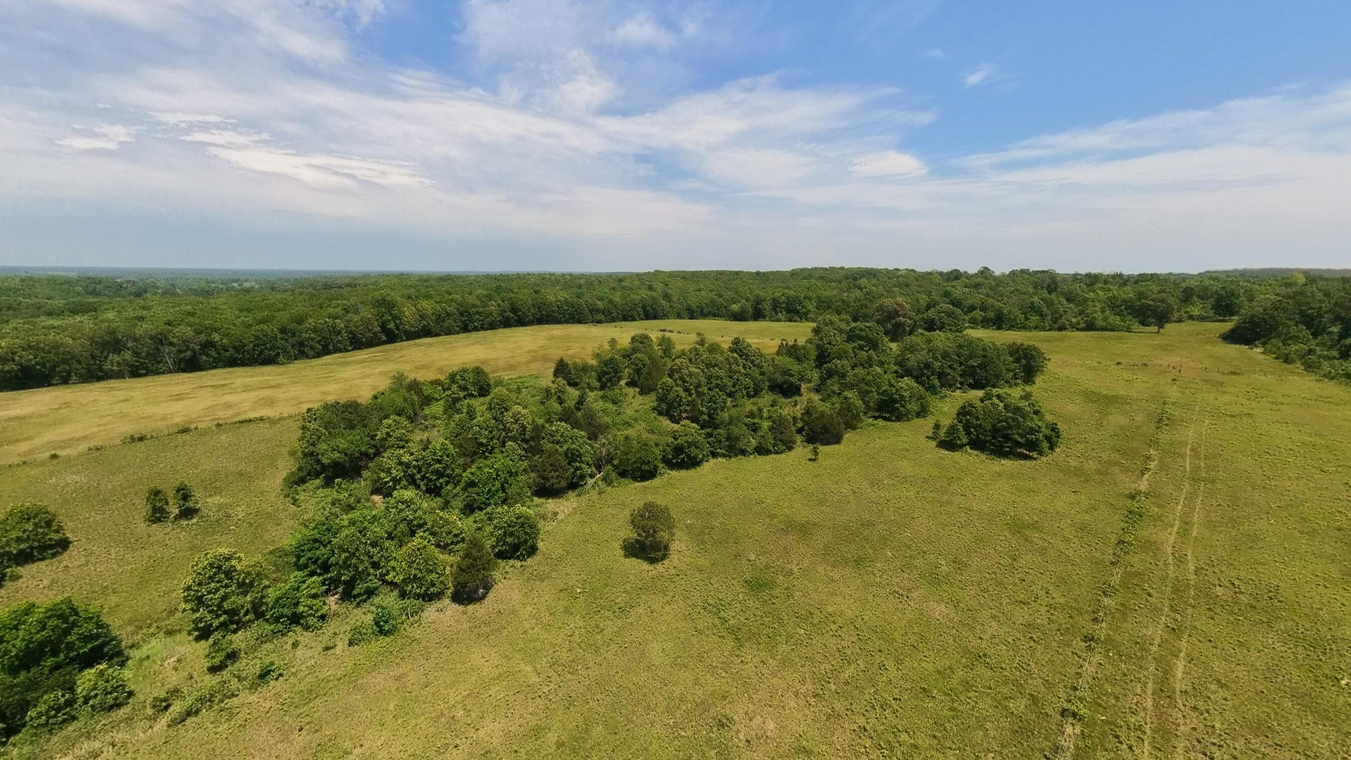 Photo 46 - Land for sale – 000  County Road 113   Alton, MO