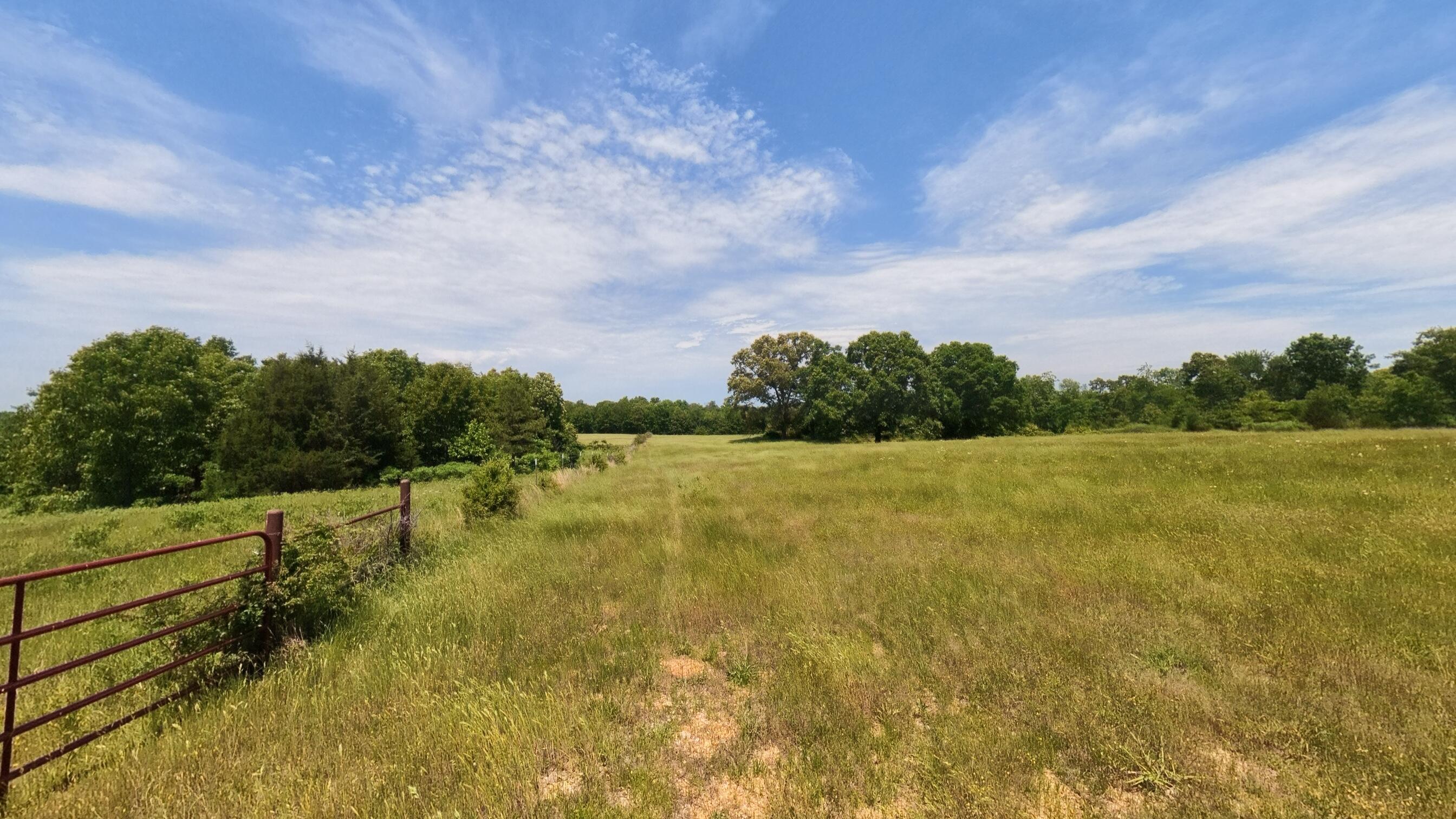 Photo 35 - Land for sale – 000  County Road 113   Alton, MO