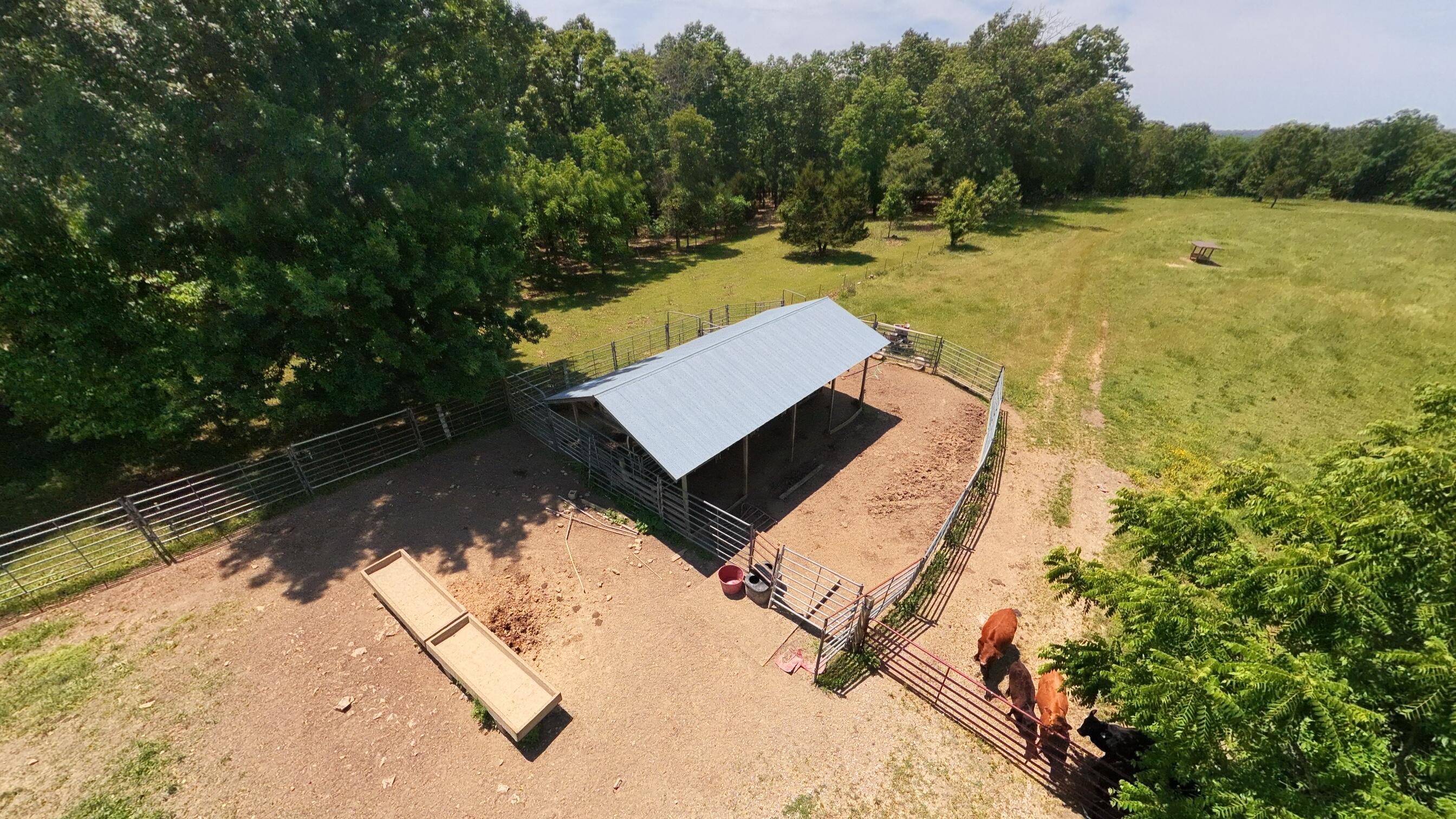 Photo 10 - Land for sale – 000  County Road 113   Alton, MO