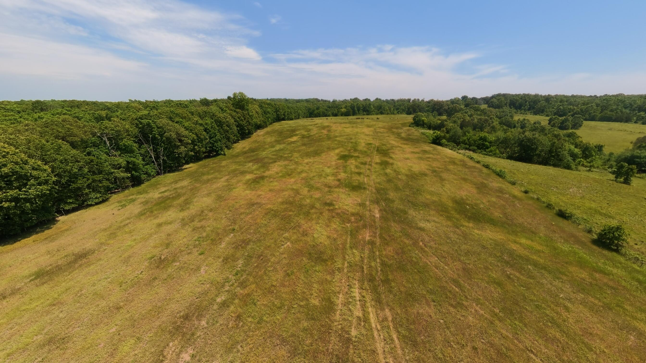 Photo 49 - Land for sale – 000  County Road 113   Alton, MO