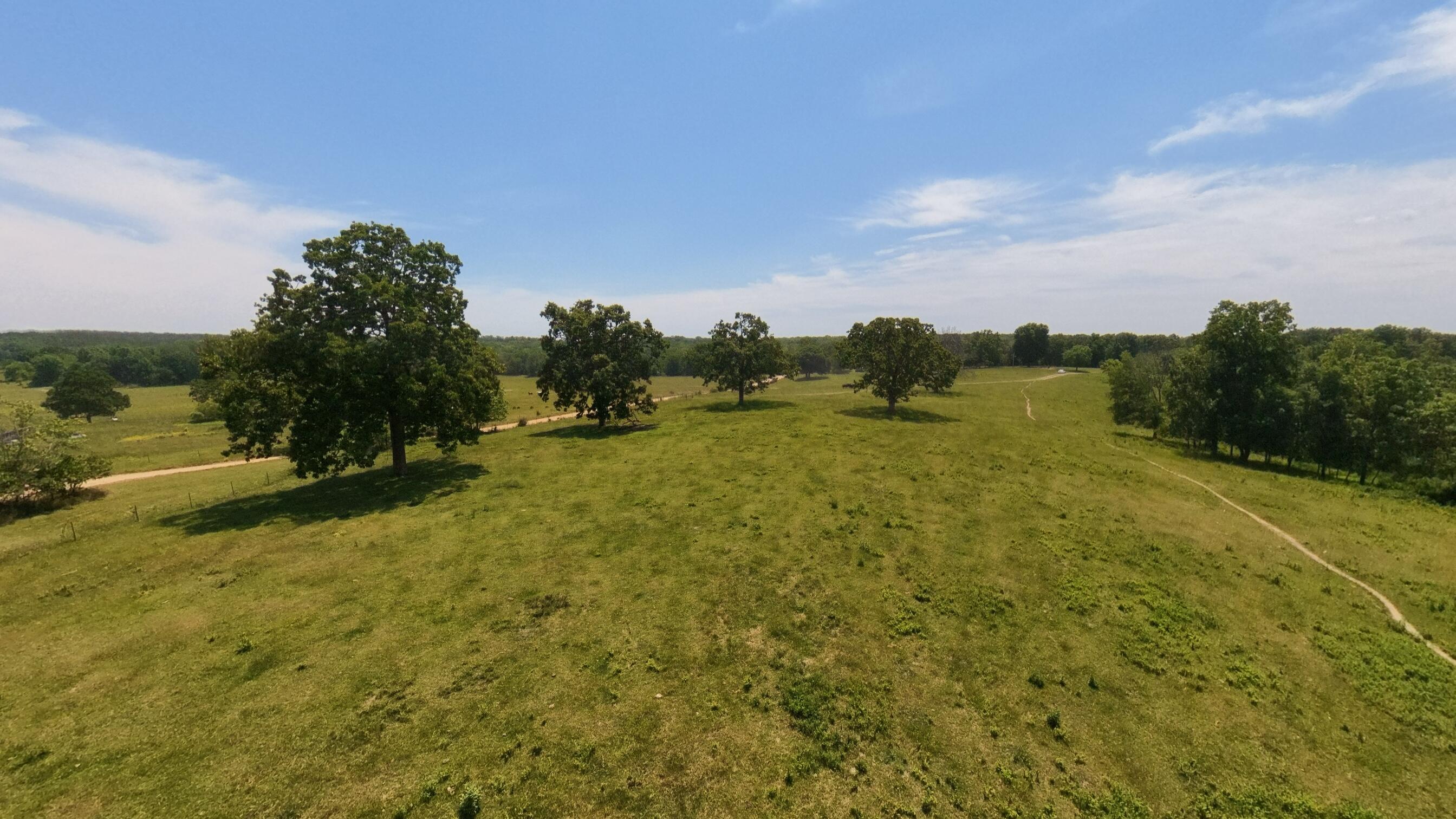 Photo 5 - Land for sale – 000  County Road 113   Alton, MO
