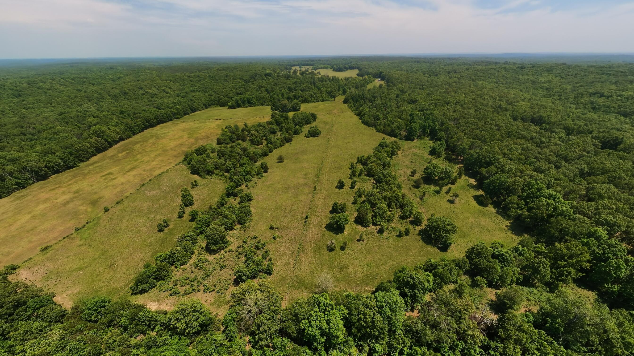 Photo 48 - Land for sale – 000  County Road 113   Alton, MO