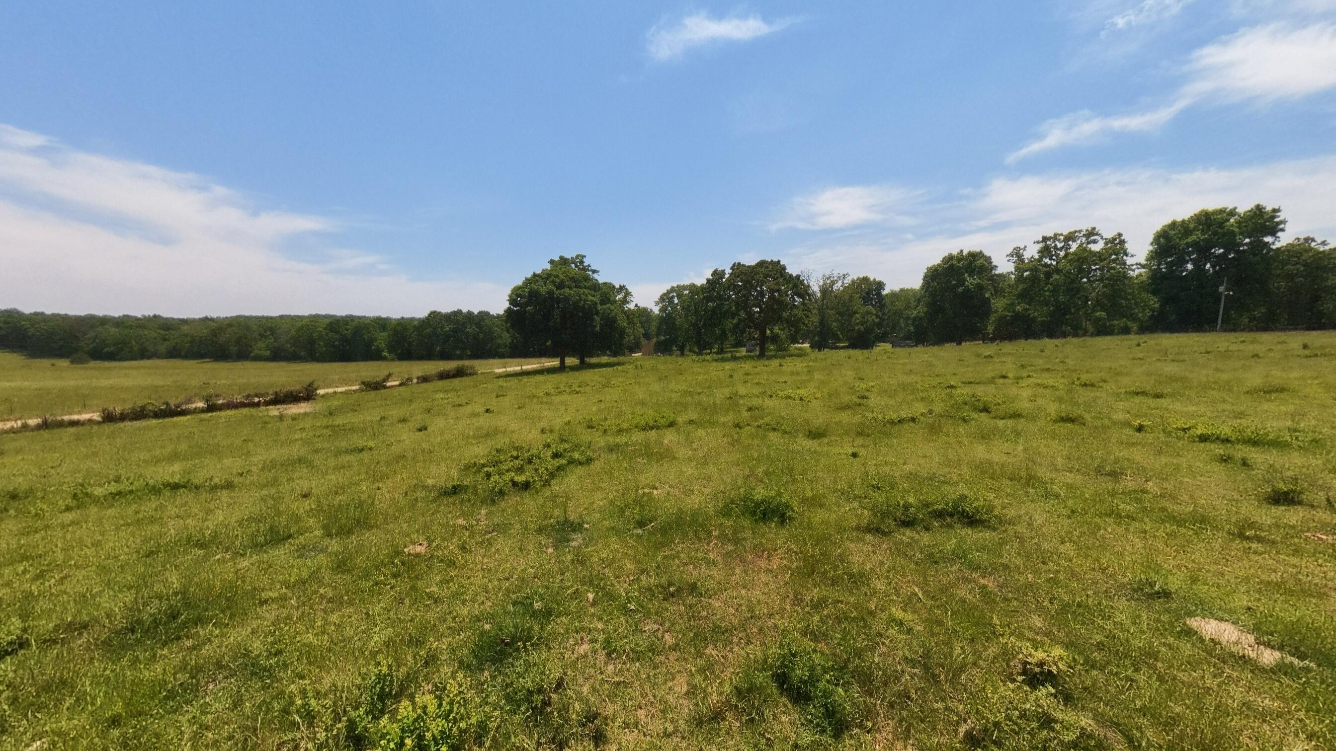 Photo 9 - Land for sale – 000  County Road 113   Alton, MO
