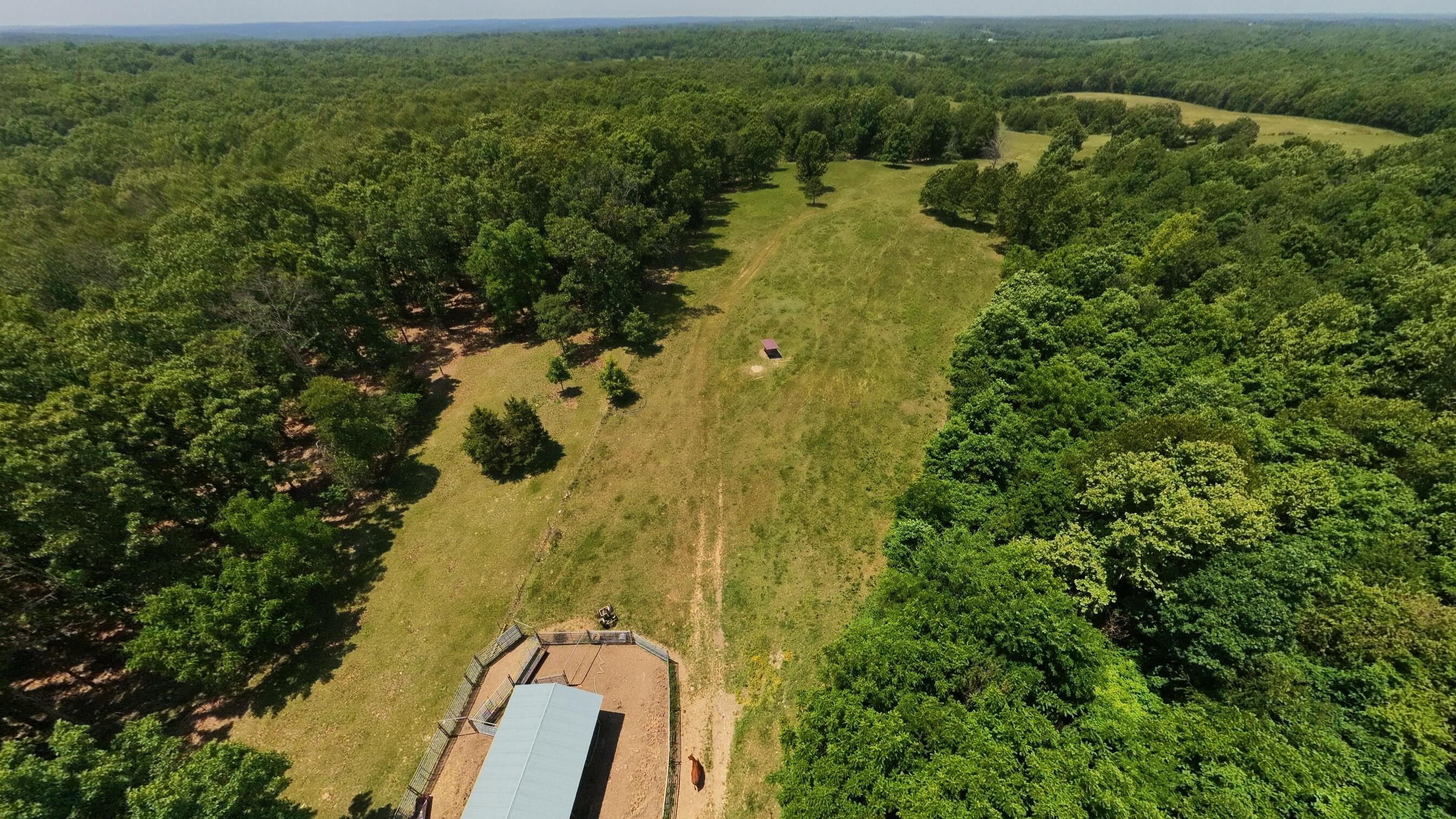 Photo 13 - Land for sale – 000  County Road 113   Alton, MO