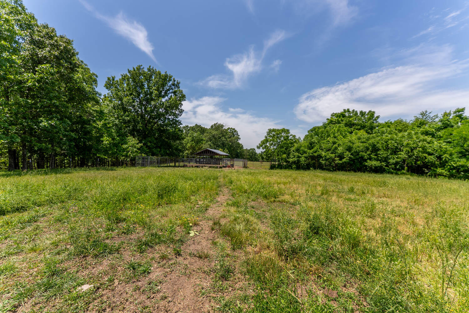Photo 59 - Land for sale – 000  County Road 113   Alton, MO