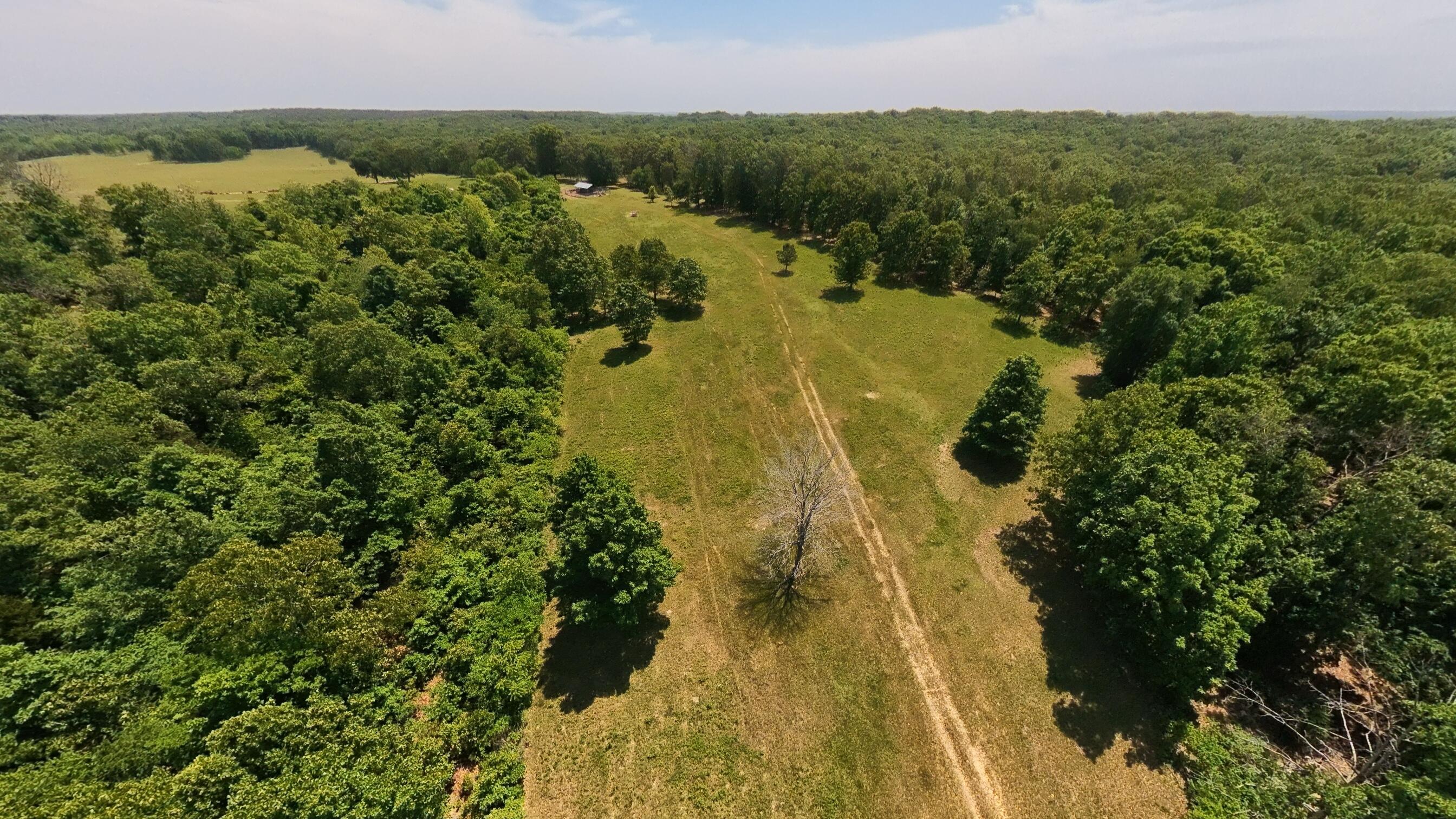 Photo 20 - Land for sale – 000  County Road 113   Alton, MO
