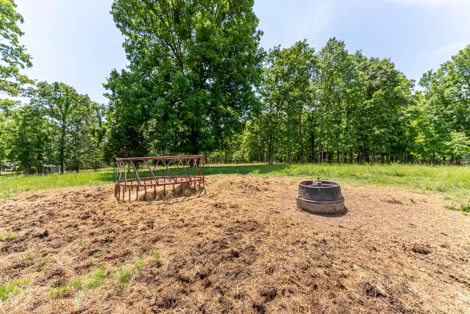 Photo 55 - Land for sale – 000  County Road 113   Alton, MO