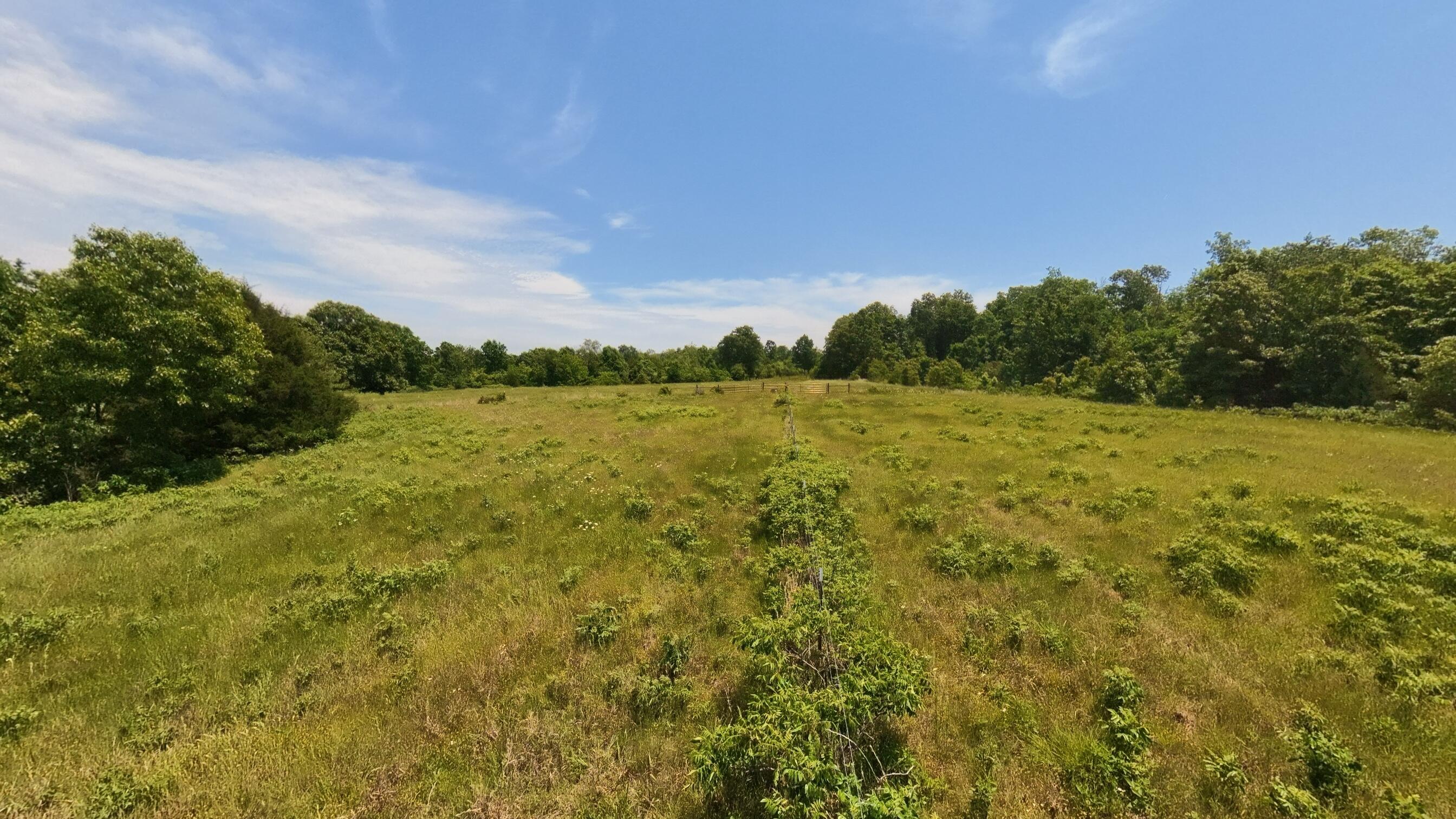 Photo 42 - Land for sale – 000  County Road 113   Alton, MO